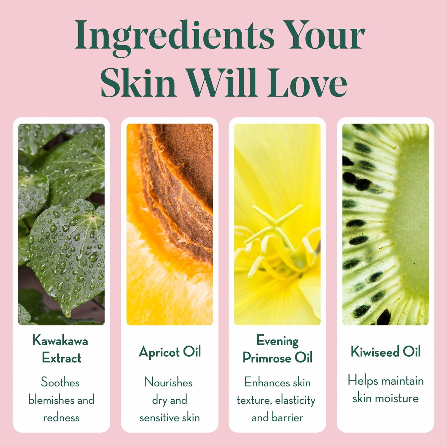 Goodness Omega Star Facial Oil – Hydrating Face Oil with Rosehip, Jojoba & Vitamin E – Non Greasy Vegan Oil for Dry, Sensitive & Acne Prone Skin – 1 fl oz