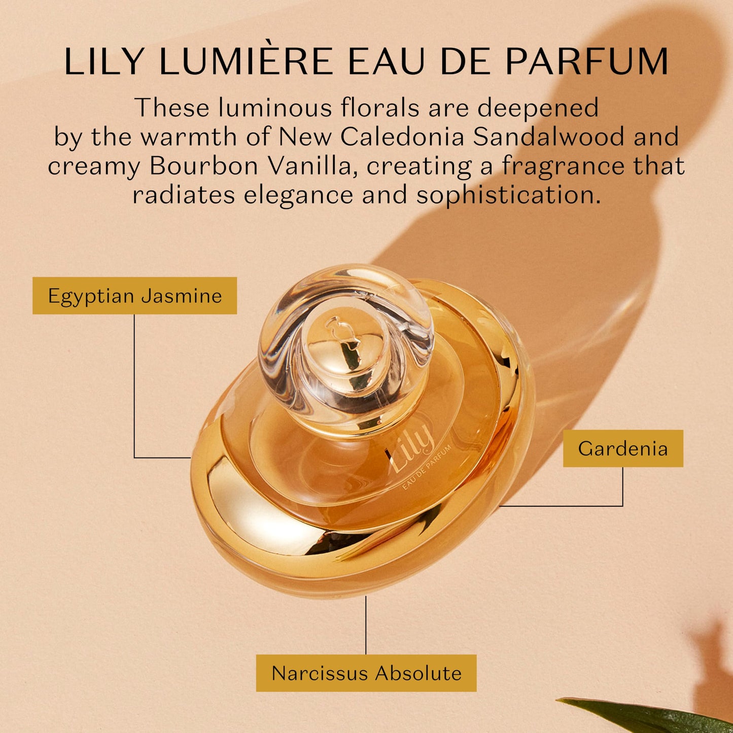 O Boticário Lily Eau de Parfum - Long Lasting Perfume for Women - 2.5 oz / 75 ml, Premium Brazilian Floral Fragrance with Lily & Jasmine Notes, Elegant Signature Scent, Women's Perfume Gift