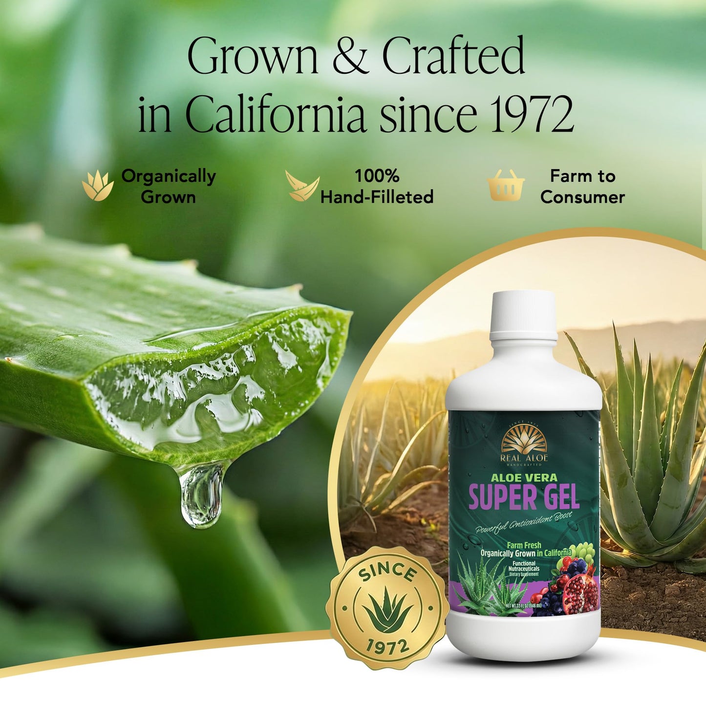 Real Aloe Super Gel Juice (32 fl oz) | Organic California-Grown Aloe Vera with Pomegranate & Cranberry | Aloin-Free Inner Leaf | Hydration & Antioxidant Support | Dietary Supplement | Made in USA