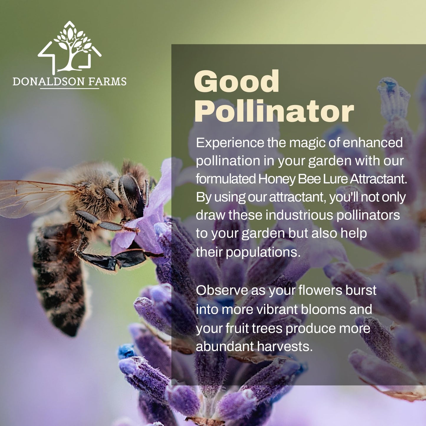 Donaldson Farms - Honey Bee Attractant Spray - Bee Hive Lure for Gardens, Beehives, Flowers & Fruit Trees with Natural Lemongrass Oil Formula, Easy to Use for Beekeepers & Pollinator Support - 2 oz