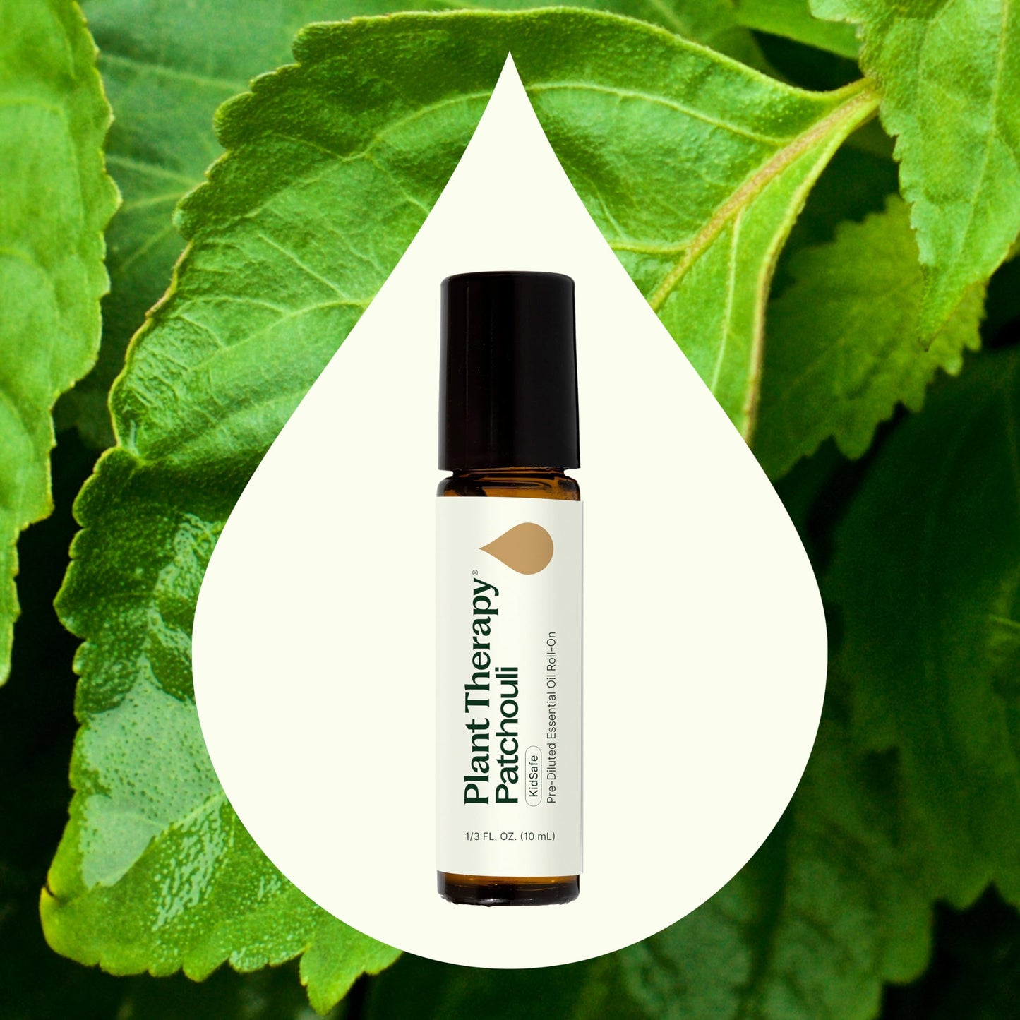 Plant Therapy Patchouli Essential Oil 100% Pure, Pre-Diluted Roll-On, Natural Aromatherapy for Relaxation, Stress Relief, and Skin Care
