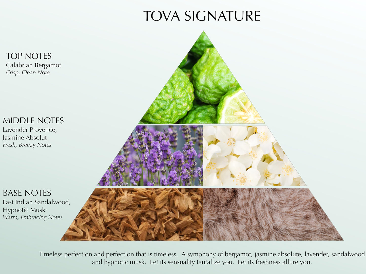 Tova Signature Solid Perfume Compact – Fresh Floral Pocket Perfume Dab-On for Women – Bergamot Jasmine Musk – USA-Made & Cruelty-Free – 2.4 g