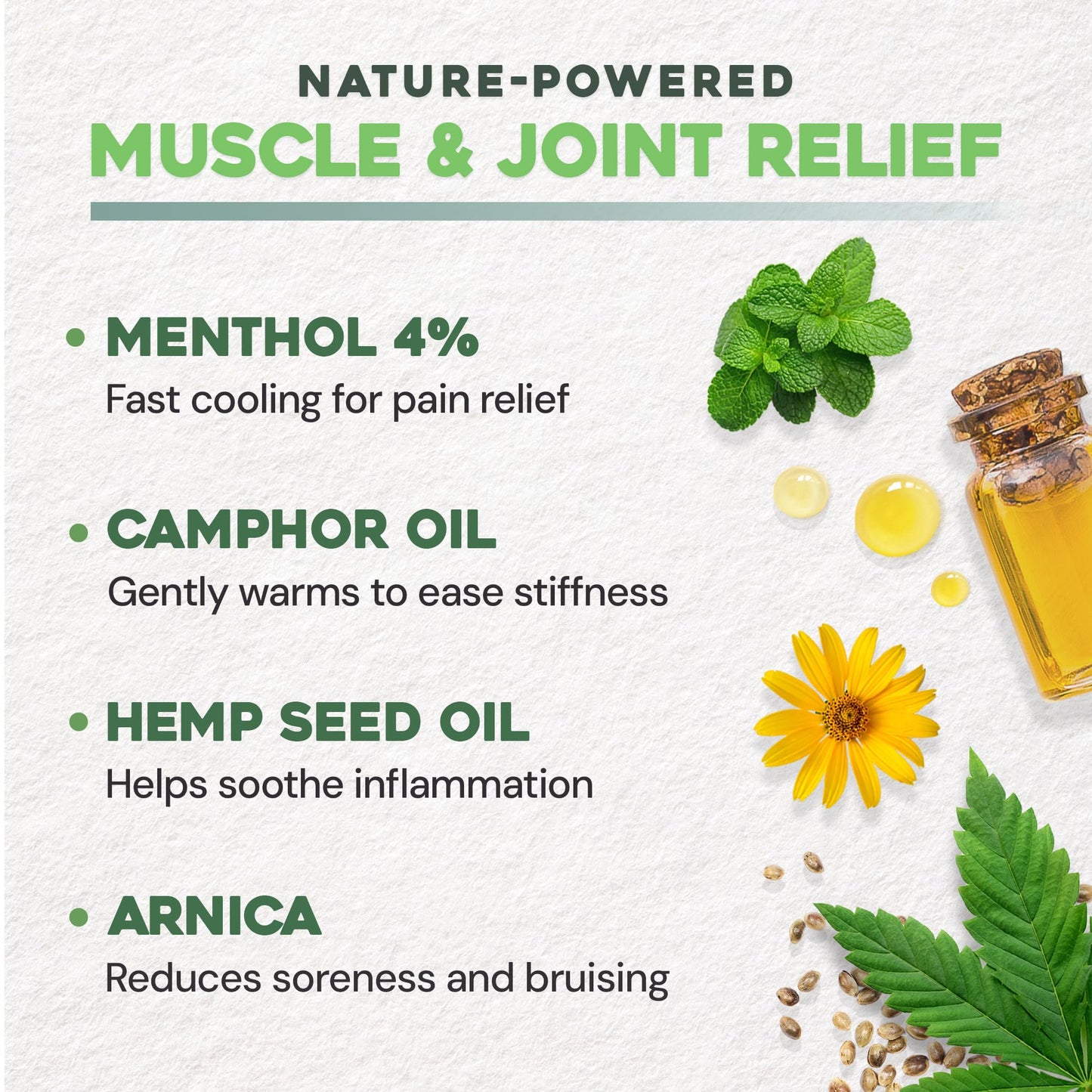 Ebanel Menthol Arnica Gel Pain Relief Cream Roll On with Camphor, Hemp Oil