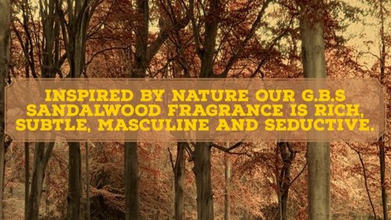 G.B.S Men's Sandalwood Shaving Soap with Shea Butter and Glycerin, 3oz