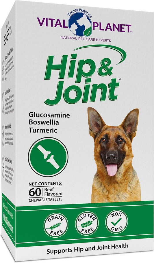 Natural Hip & Joint Supplement for Dogs - Herbal Blend with Green Lipped Mussel, MSM & Glucosamine - Beef Flavor (60 Chewable Tabs)
