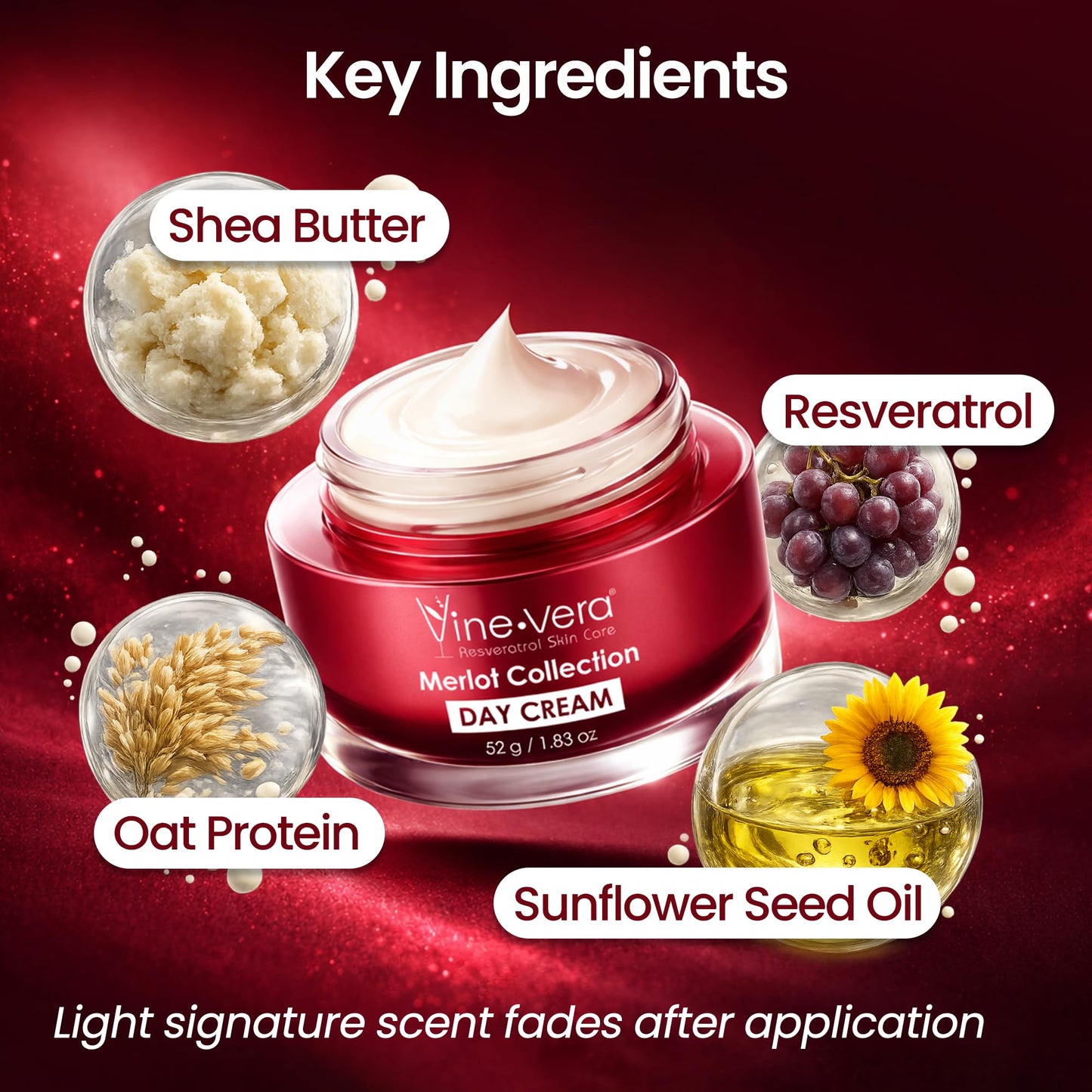 Vine Vera Merlot Day Cream - Hydrating, Fast-Absorbing, Non-Greasy - Resveratrol Face Moisturizer - Facial Cream For Dry, Normal, Mature Skin - With Shea Butter and Oat Protein - 1.83 Oz