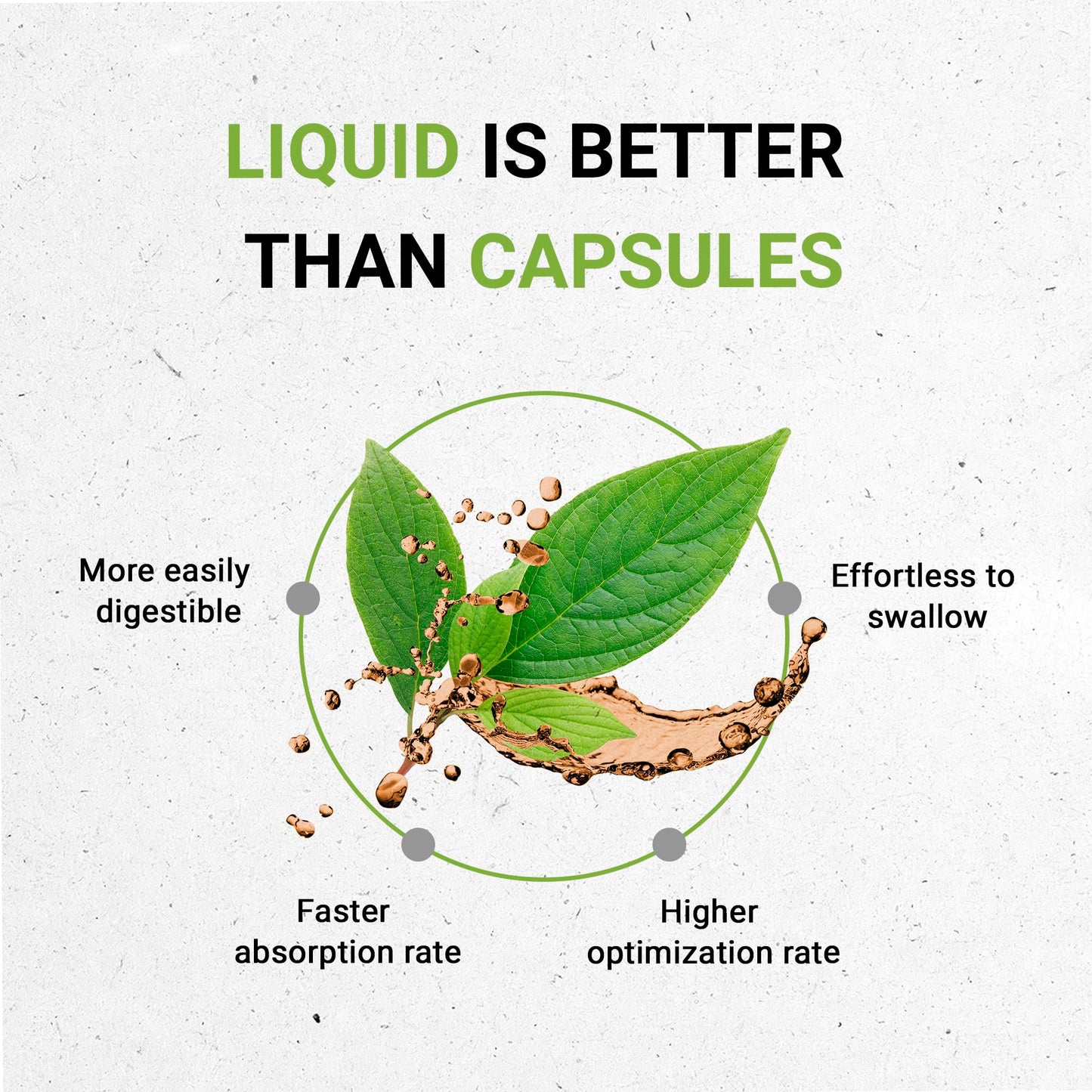 Hyssop USDA Organic | Alcohol-Free Extract, High-Potency Herbal Drops | Made from 100% Certified Organic Hyssop (Hyssopus officinalis) Dried Herb (2 oz)