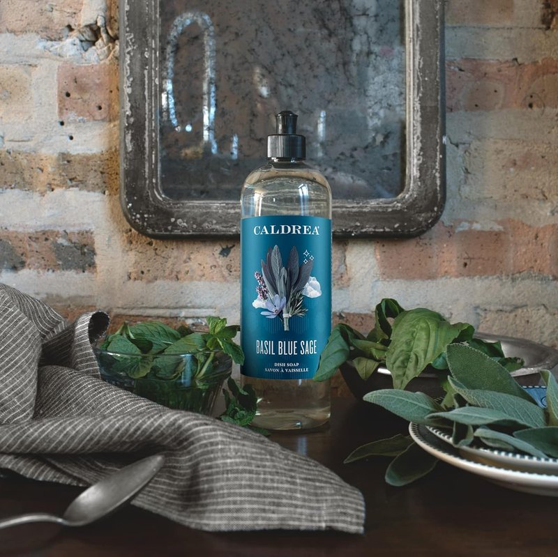 Caldrea Dish Soap - Biodegradable Dishwashing Liquid with Aloe Vera & Soap Bark | Basil Blue Sage, 16 oz