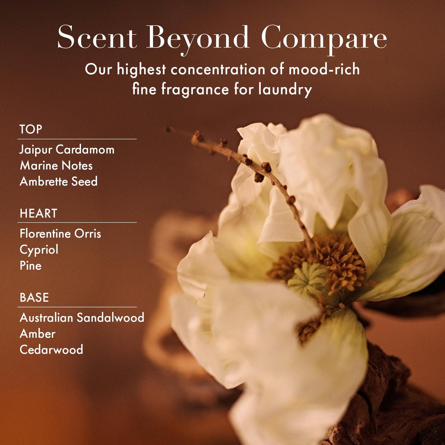 The Laundress Soft Focus Luxury Laundry Detergent, Long-Lasting White Santal Fragrance up to 7 Days of Scent, BioRadiance Enzyme Technology, Keep Clothes Vibrant for Longer, USDA Biobased, 15 Loads