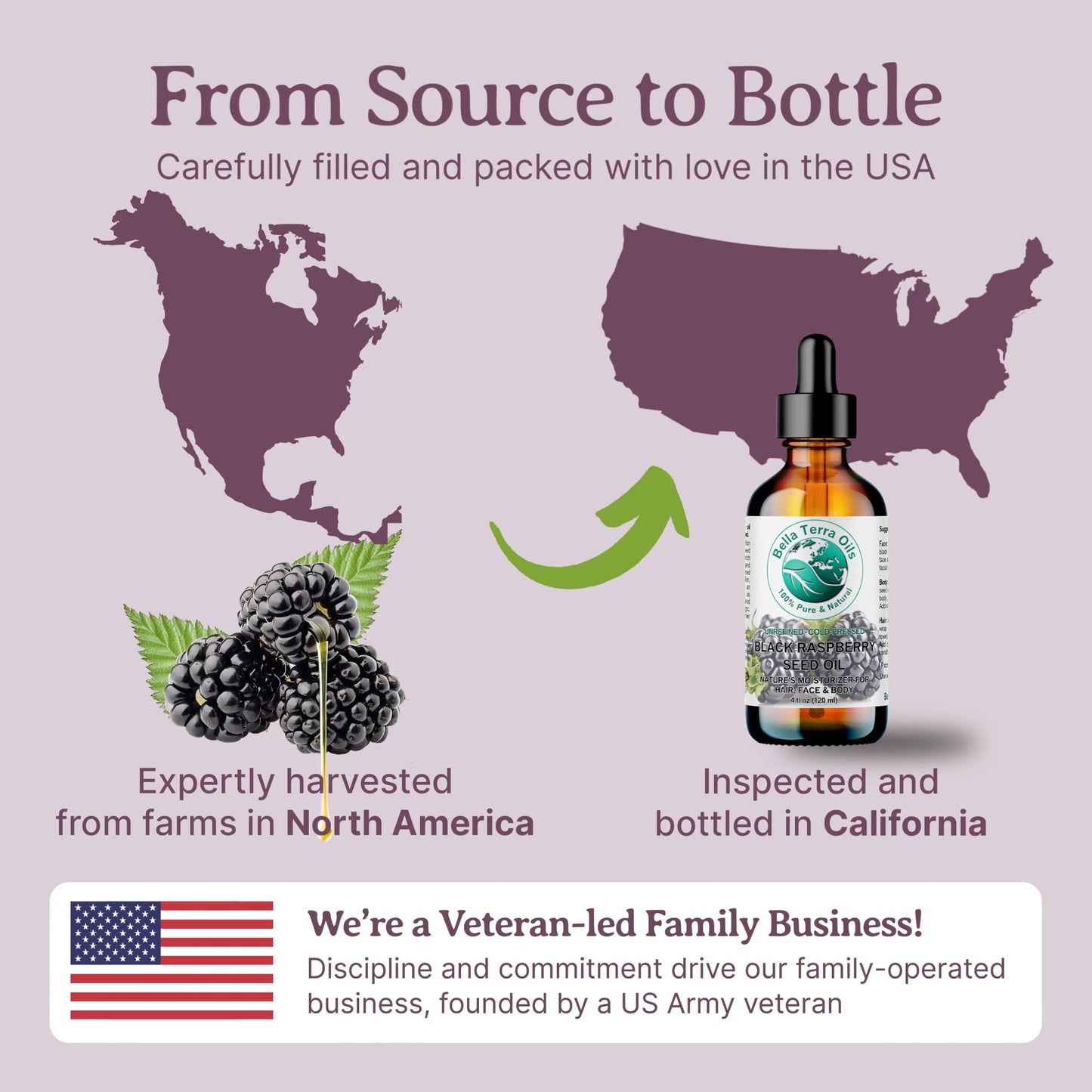Bella Terra Oils - Black Raspberry Seed Oil 16 oz - Harness the Nutritional Excellence of Red Raspberry Oil, Abundant in Linoleic Acid & Alpha Linolenic Acid, The Ultimate Skin Luxury