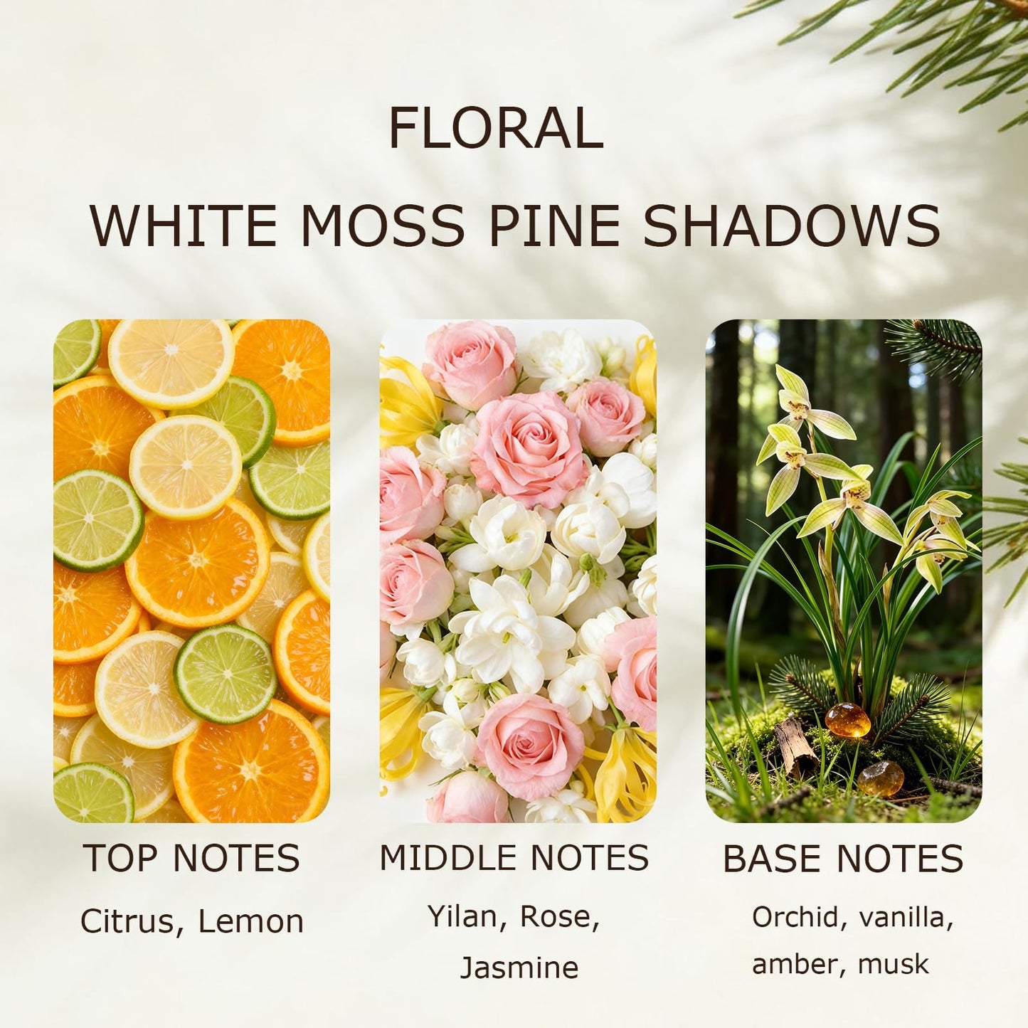 OUSTANE Floral White Moss Pine Shadows Hotel Toiletries Amenities Set (8 Pack) Bulk Hotel Amenities- 2-Shampoo, 2-Body Wash, 2-Hand Wash, 1-Conditioner and 1-Body Lotion, With bracket