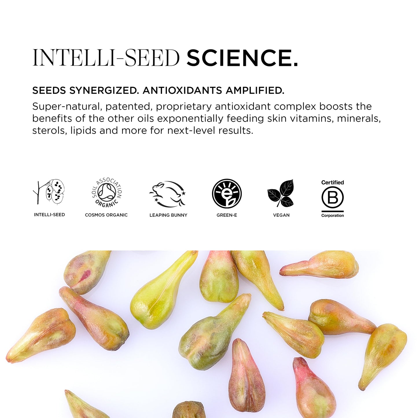 Intelligent Nutrients Seed Synergy Hydra-Lotion, Daily Moisturizer for All Skin Types, Instant Glow and Hydration, Vegan, 1.7 Oz