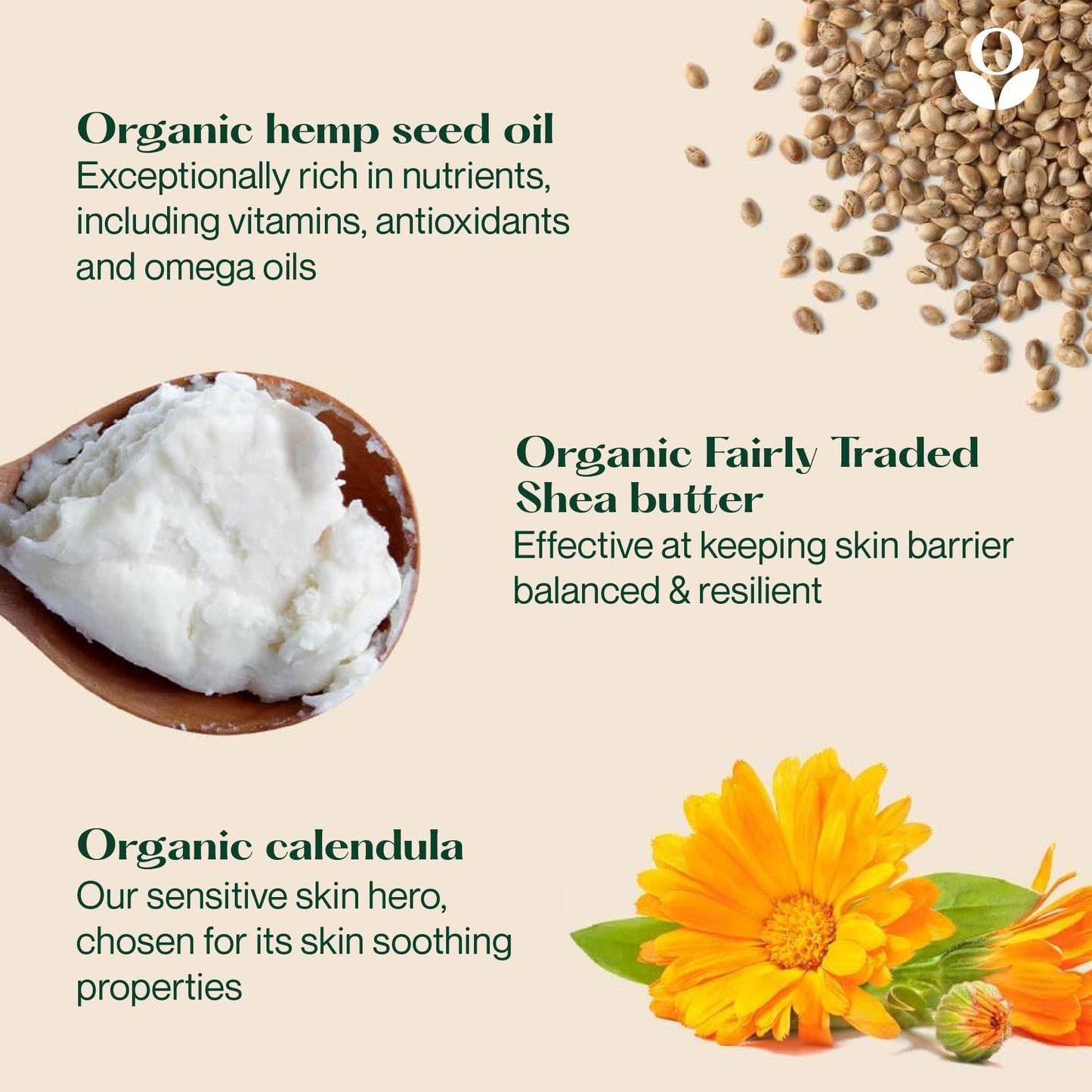Balmonds - Daily Moisturizing Cream - 3.5oz. (100ml) - 99% Natural Moisturizer - Face & Body - Fragrance Free - Vegan/Cruelty Free - All Skin Types