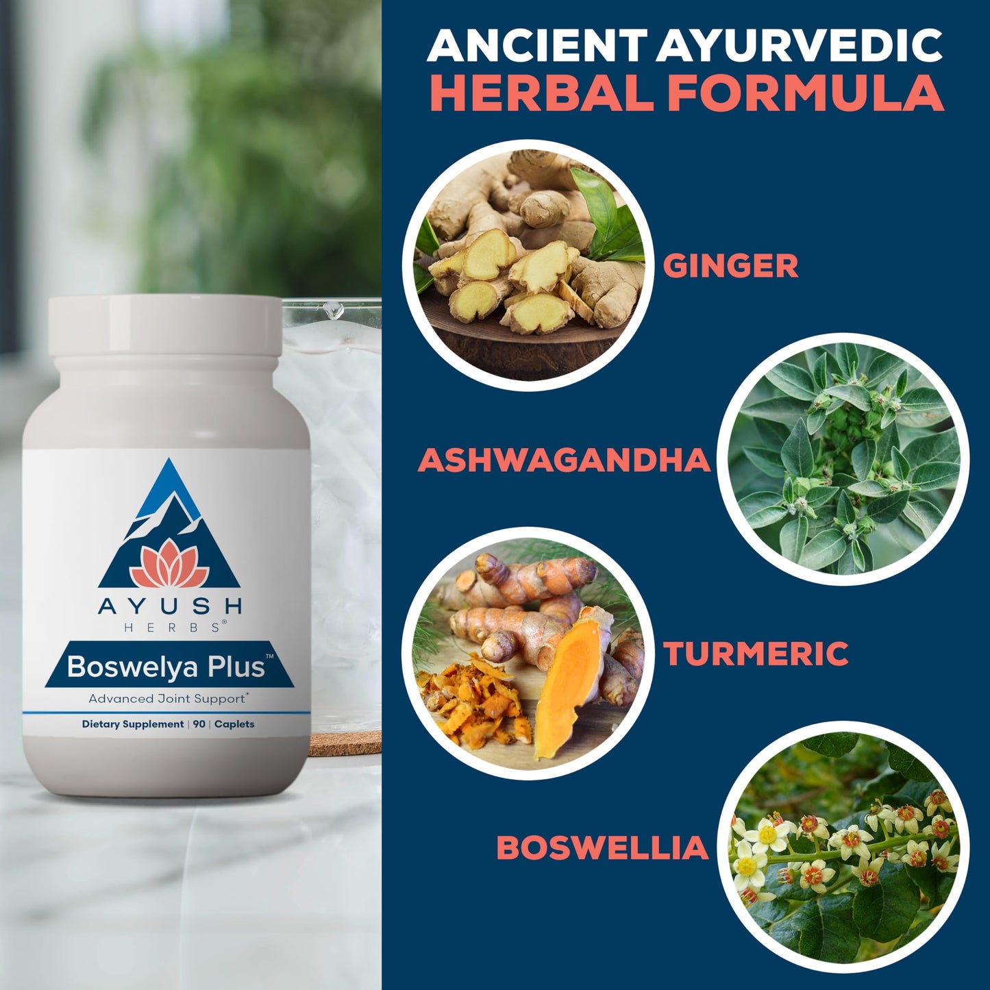 Ayush Herbs Boswelya Plus - Glucosamine Chondroitin Joint Support Supplement, Turmeric Muscle Support for Men & Women, Joint Care with Curcumin - 90 Servings