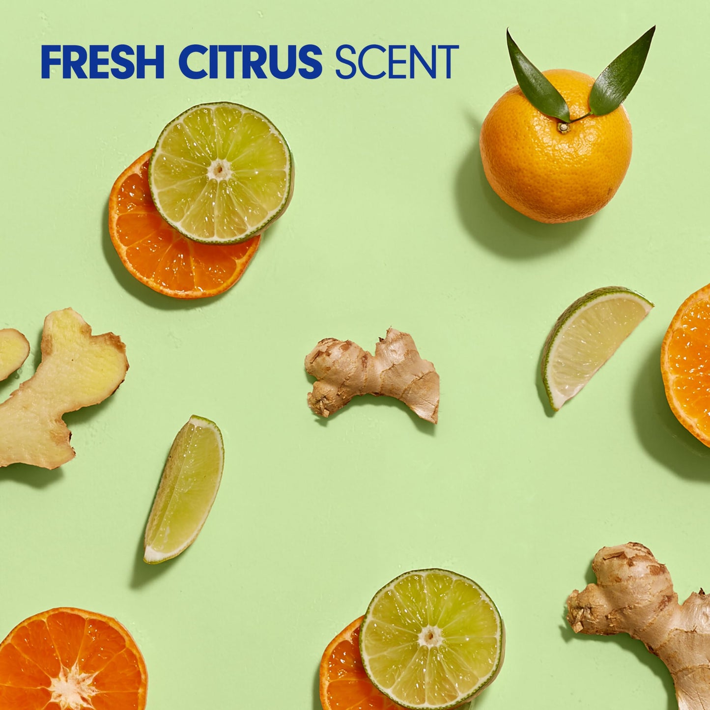 Softsoap ANTIBACTERIAL FRESH CITRUS 50OZ (Pack of 2)