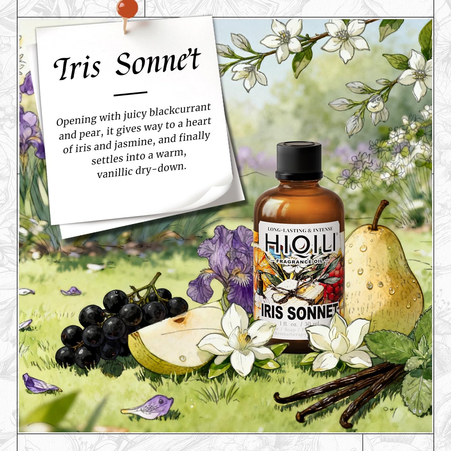 HIQILI Iris Sonnet Fragrance Oil, Premium Concentrated Scent for Home Diffuser, Perfume Balm Making, Linen Spray - 1 Fl Oz