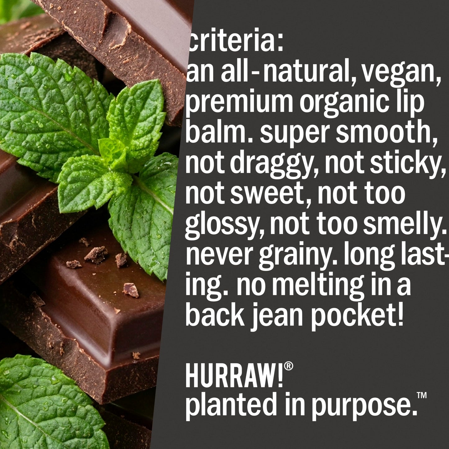 Hurraw! Chocolate & Mint Combo Lip Balm: Choco Mint. Organic, Certified Vegan, Cruelty and Gluten Free. Non-GMO, 100% Natural Ingredients. Bee, Shea, Soy and Palm Free. Made in USA