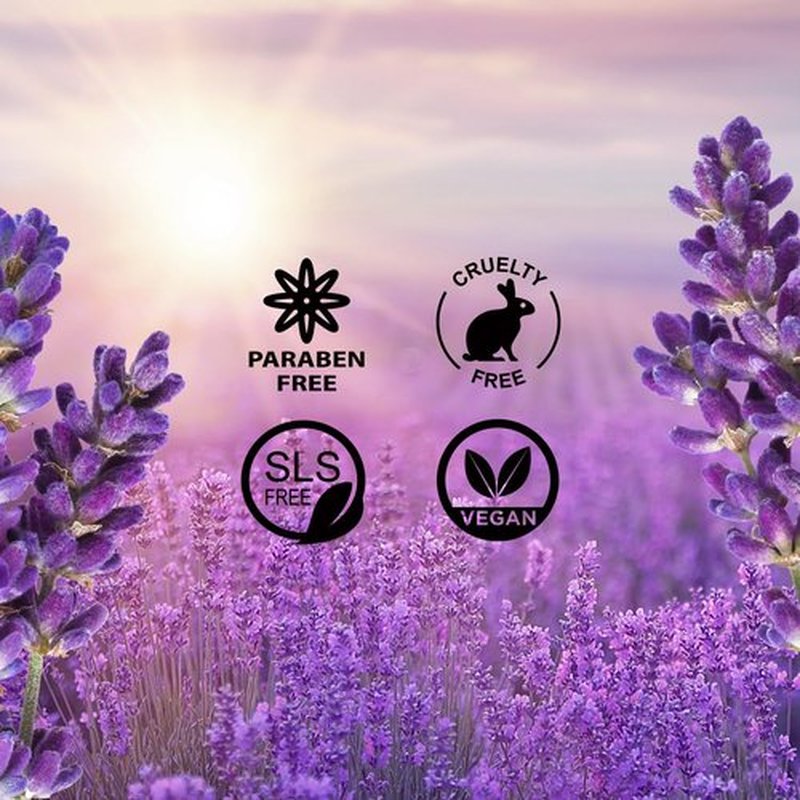 Nykaa Wanderlust French Lavender Body Butter with Shea & Cocoa Butter - Vitamin E, Deeply Moisturize & Hydrate Skin, Sodium & Sulphate free, Paraben Free - 200ml