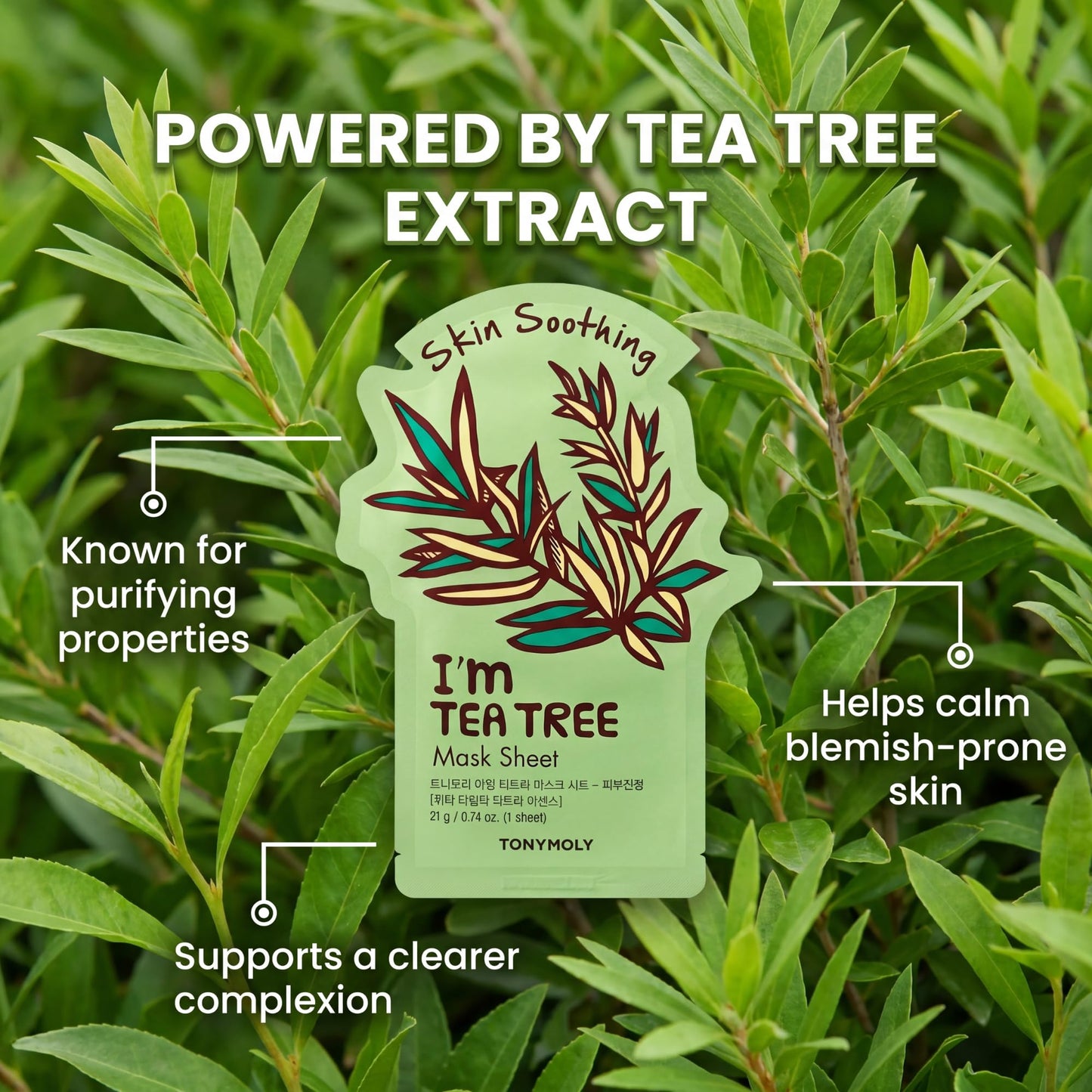 TONYMOLY I’m Tea Tree Sheet Mask, 1 Count – Korean Skincare Face Mask for Hydration & Soothing – Moisturizing Facial Mask with Tea Tree Extract & Vitamin Essence for Clear, Balanced Skin
