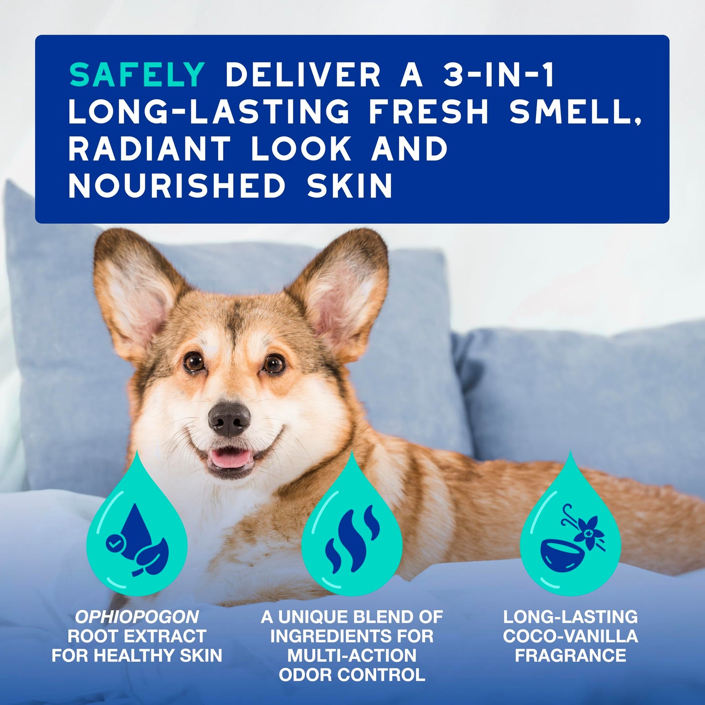 DOUXO SPA Dog Deodorizing Spray, 11.5 fl oz