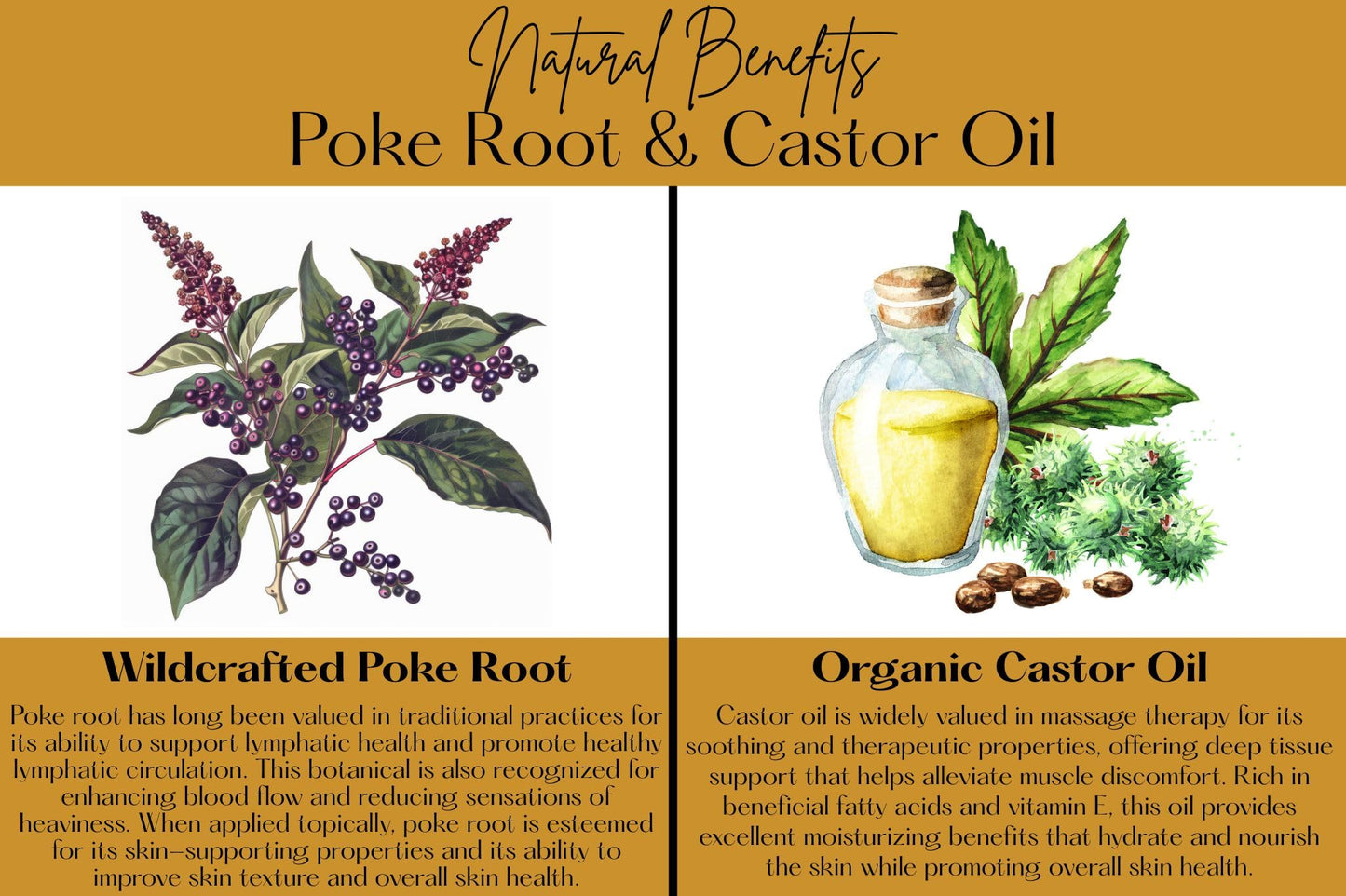 Organic Poke Root Castor Oil | Vegan Lymphatic Support | Cysts, Boils, Fibroids, Swollen Lymph Nodes, Breast & Joint | Natural Deep Tissue Massage | Made in The USA (1oz, Citrus Spark)