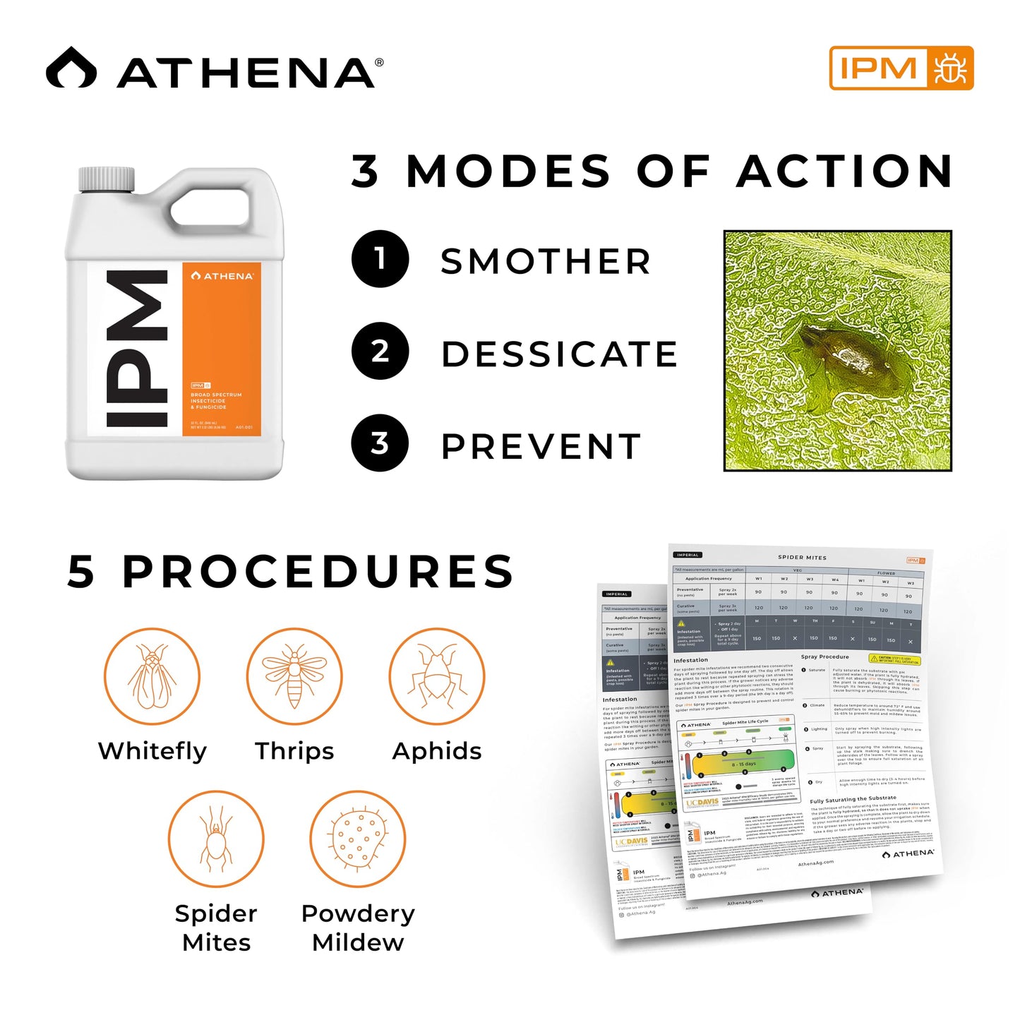 Athena IPM Plant Pest Control Solution | Broad Spectrum Fungicide & Insecticide for Indoor and Outdoor Plants | Supports Control of Spider Mites, Powdery Mildew, and Common Plant Pests | 32 Ounce