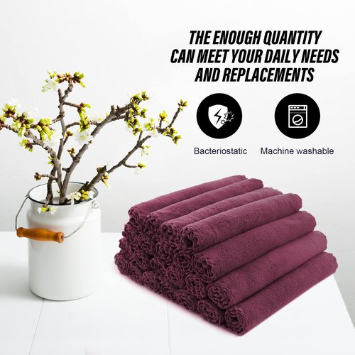 MOONQUEEN Ultra Soft Premium Washcloths Set - 12 x 12 inches - 24 Pack - Quick Drying - Highly Absorbent Coral Velvet Bathroom Wash Clothes - Use as Bath, Spa, Facial, Fingertip Towel (Burgundy)