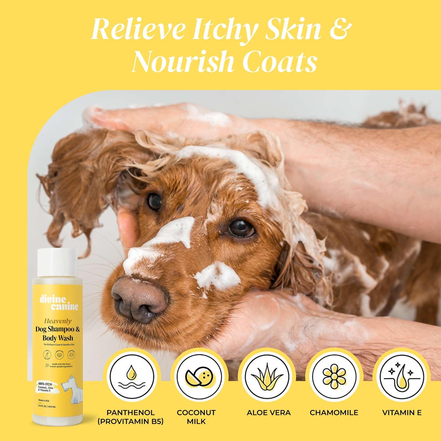 Divine Canine Anti-Itch Dog Shampoo & Body Wash - Sensitive Skin - 13.5oz