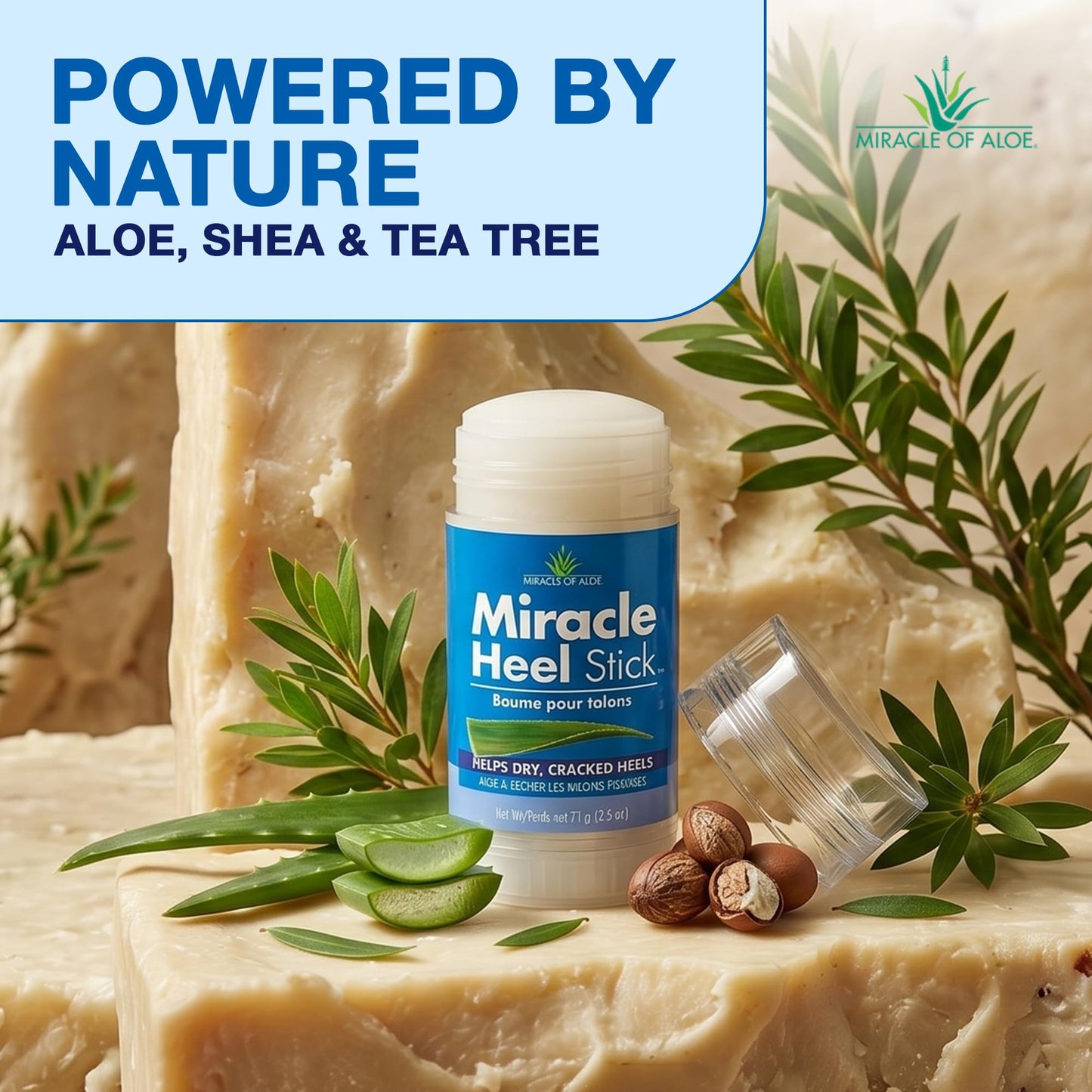 Heel Balm for Dry Cracked Feet - Miracle Heel Stick for Cracked Heel Repair - Heel Balm Stick for Cracked Heel Treatment - Formulated with Pure Aloe Vera, Tea Tree Oil, Shea & Cocoa Butters | 2.5 oz