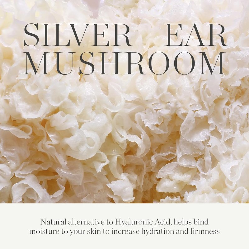 KORA Organics Milky Mushroom Overnight Face Mask - Ultra-Hydrating with Hyaluronic Acid & Aloe | 3.38 fl oz