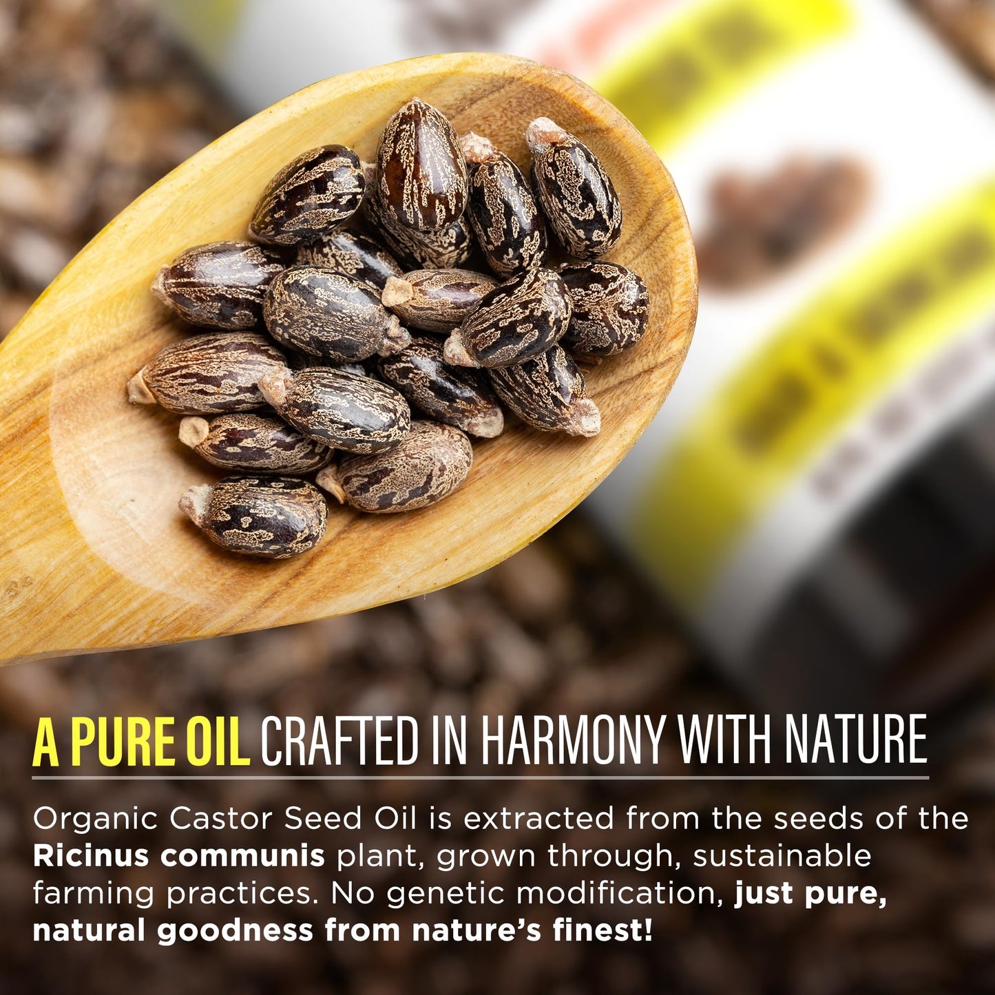 GuruNanda Castor Oil Organic USDA Certified (8 Fl oz) - 100% Pure & Natural, Cold Pressed & Hexane-Free, Hydrating Carrier Oil for Skin, Hair, Eyebrows & Eyelashes Growth (Pack of 2)