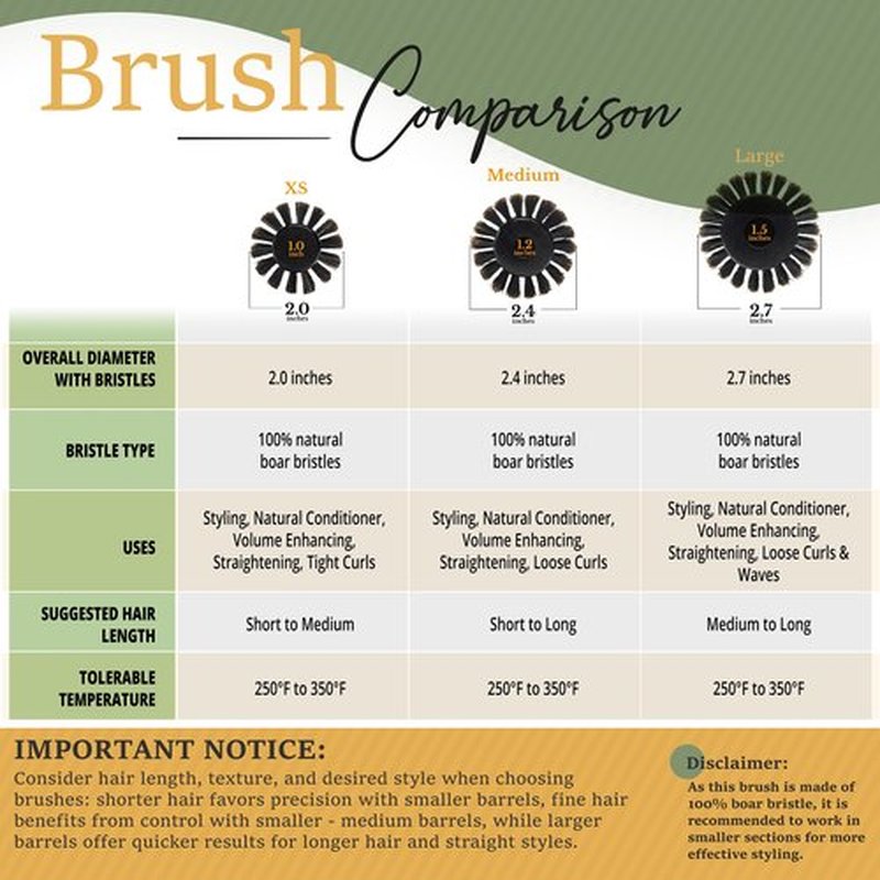 Belula 100% Soft Boar Bristle Round Brush for Blow Drying Set. Round Hair Brush With Small 1.6” Wooden Barrel. Hairbrush Ideal to Add Volume and Body. Free 3 x Hair Clips & Travel Bag.