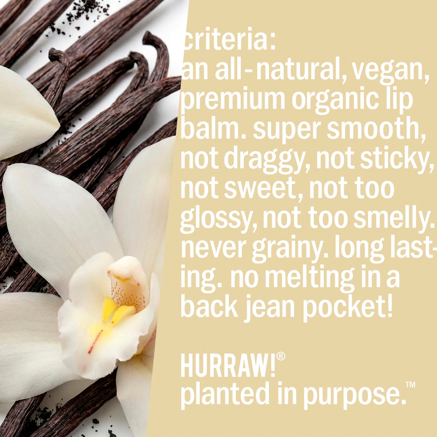 Hurraw! Vanilla Bean Lip Balm, 2 Pack: Organic, Certified Vegan, Cruelty and Gluten Free. Non-GMO, 100% Natural Ingredients. Bee, Shea, Soy and Palm Free. Made in USA