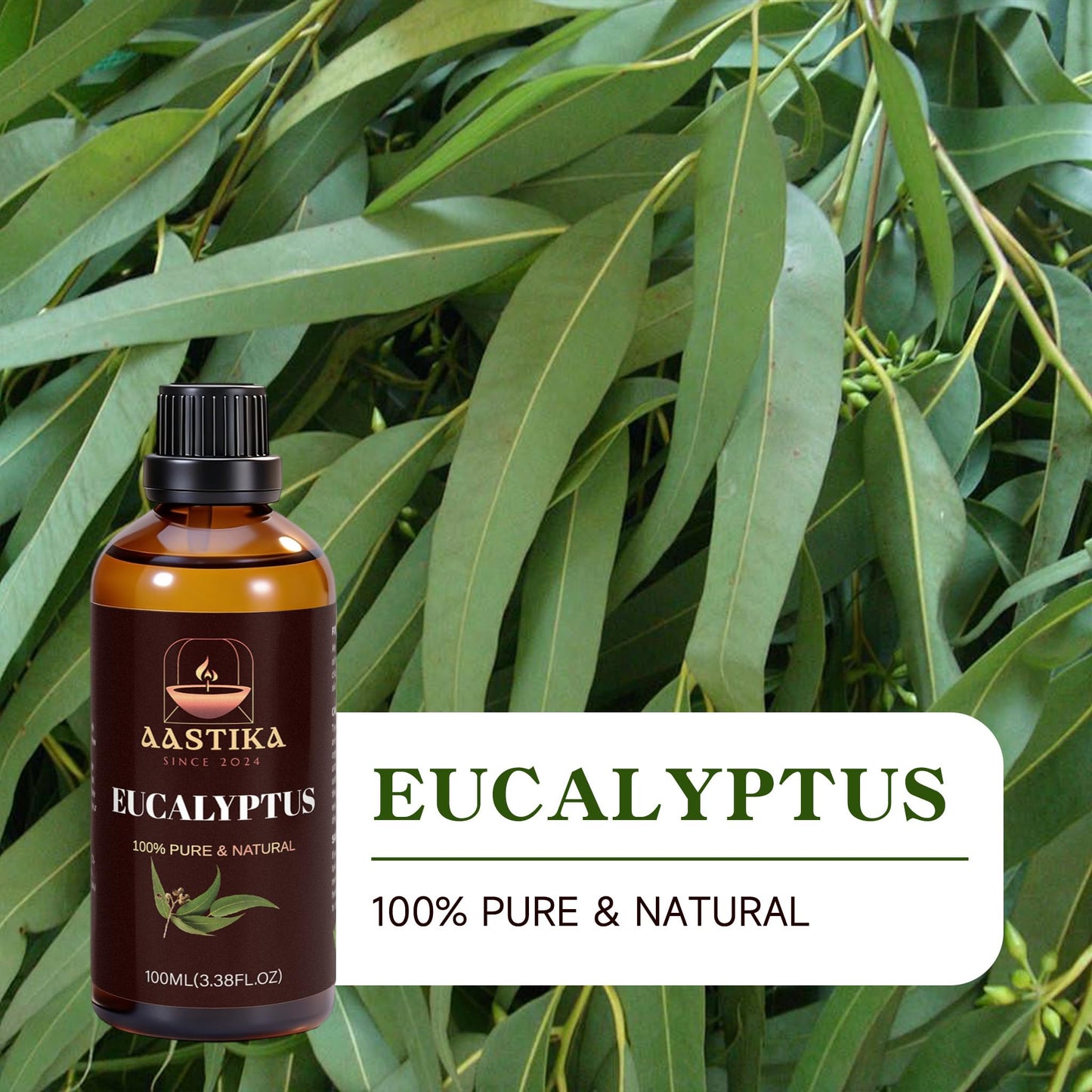 Aastika Eucalyptus Essential Oil – 100% Pure & Natural, 100ml Bottle