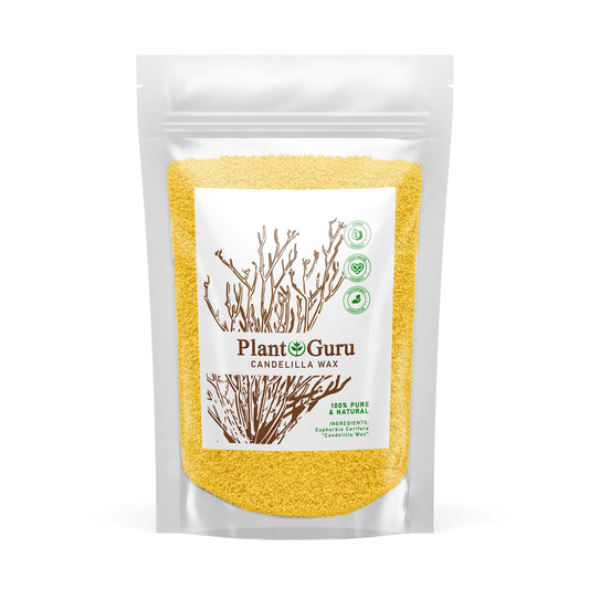 Candelilla Wax Pellets 1lb. 100% Pure Natual Food Grade Vegan Wax For DYI Lip Balm, Soap and Candle Making, Creams and Lotions. Great For Skin, Face, and Hair applications. Beeswax Alternative