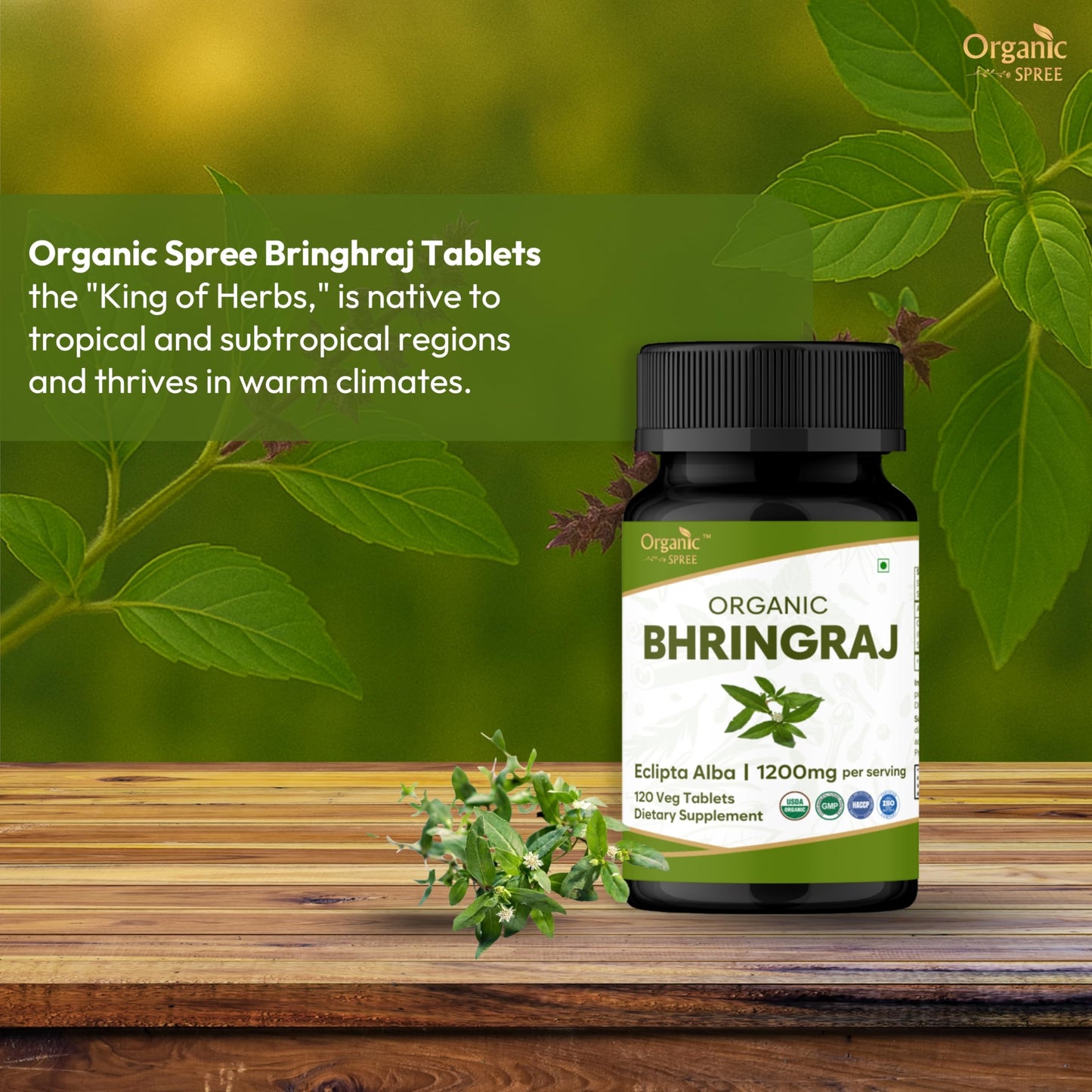 ORGANIC SPREE Bhringraj 120 Tablets - USDA Organic Bhringraj (Eclipta alba) Supplement, Supports Hair Nourishment* - Pack of 3