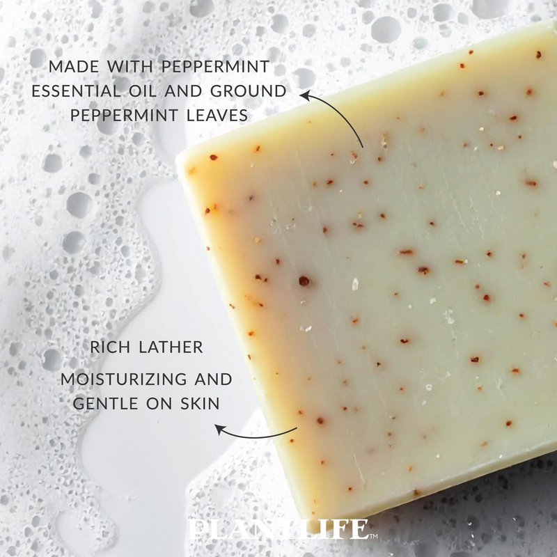 Plantlife Peppermint Bar Soap - Moisturizing and Soothing Soap for Your Skin - Hand Crafted Using Plant-Based Ingredients - Made in California 4oz Bar