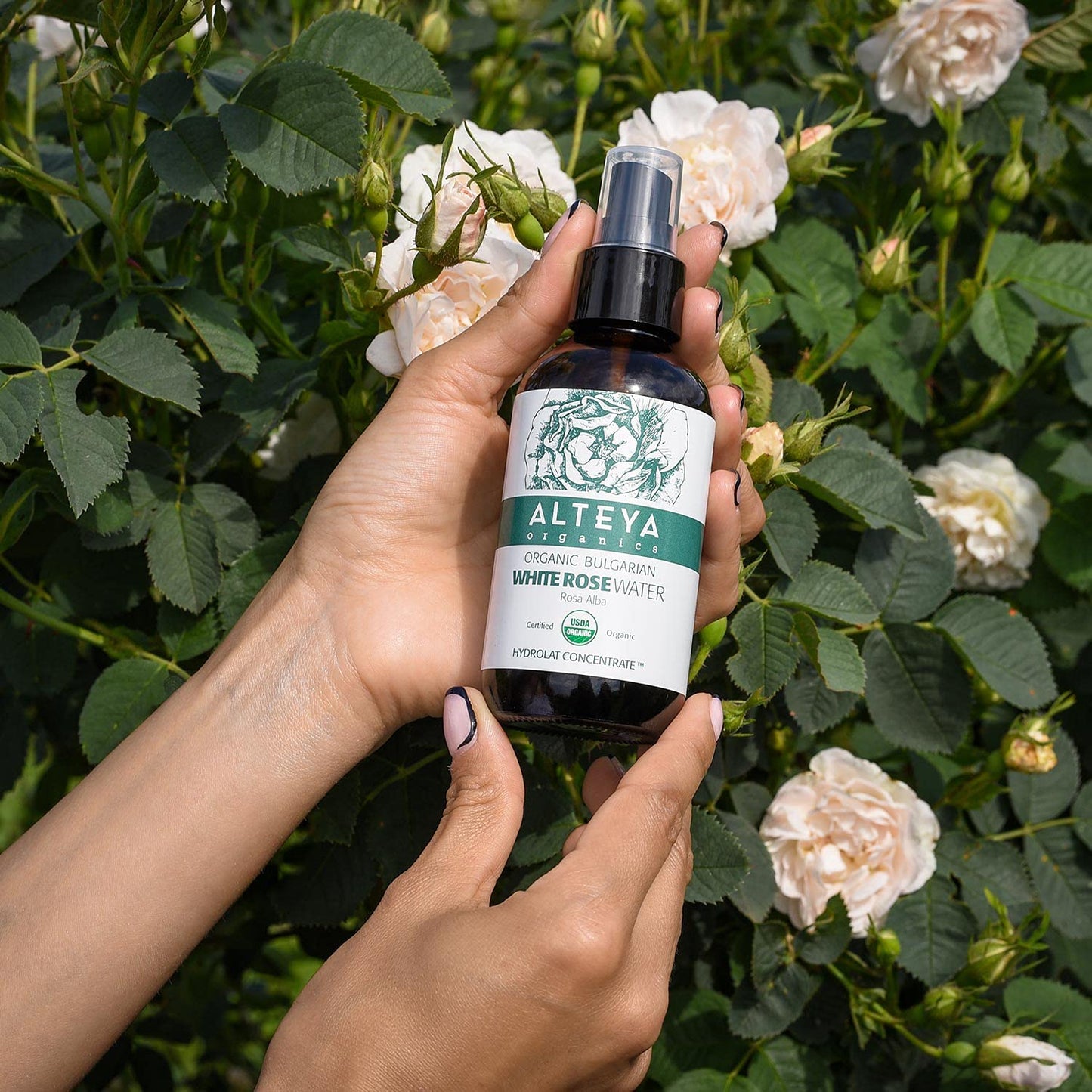 Alteya Organics Organic Bulgarian White Rose Water Facial Toner, BPA Free, 4 Ounce (Pack of 1)