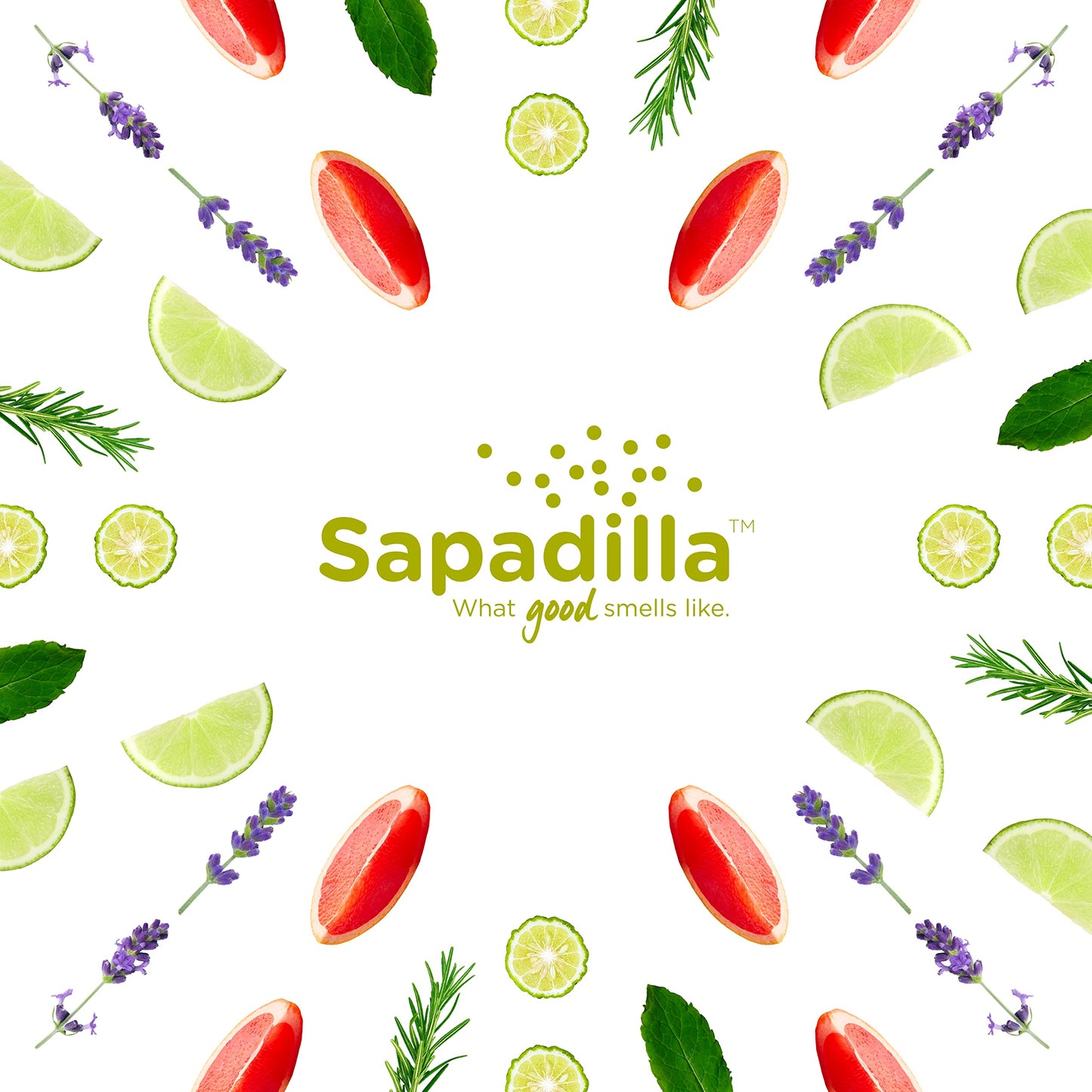Sapadilla Multi-Surface Countertop Spray - Three Scent Variety - Made with 100% Pure Essential Oil Blends, Multi-Purpose Household Cleaner, Aromatic, Plant Based, Biodegradable, 16 Ounce (Pack of 3)