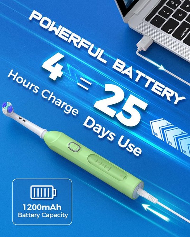 TEETHEORY Rotating Electric Toothbrush for Adults with 8 Brush Heads (2 Types), 4 Modes Deep Clean Electric Toothbrush with Rechargeable Power and 2 Min Smart Timer (6-Green, p1)