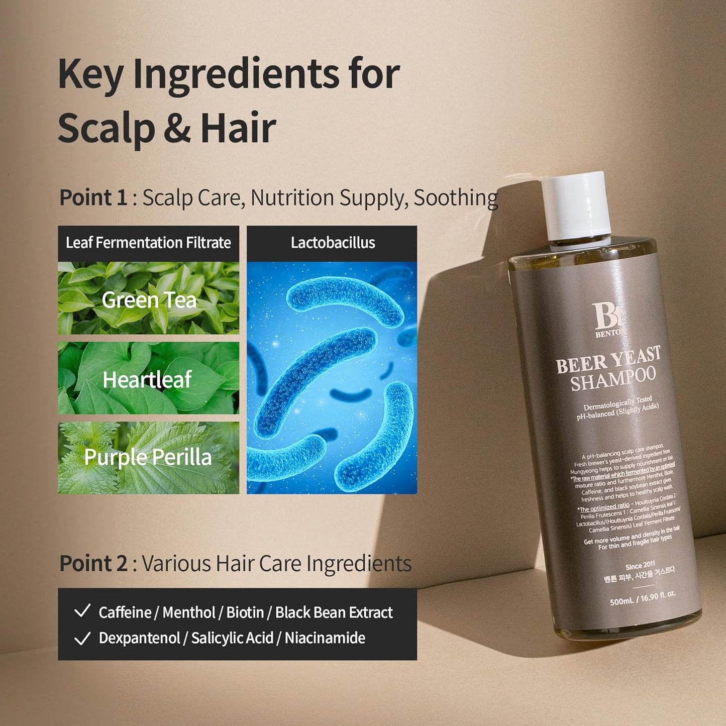 BENTON Beer Yeast Shampoo, Hair Loss Relief Biotin Shampoo for Thinning Hair – Volumizing, Regrowth Therapy, Scalp Calming – Paraben, Sulphate Free - 16.0 fl.oz.