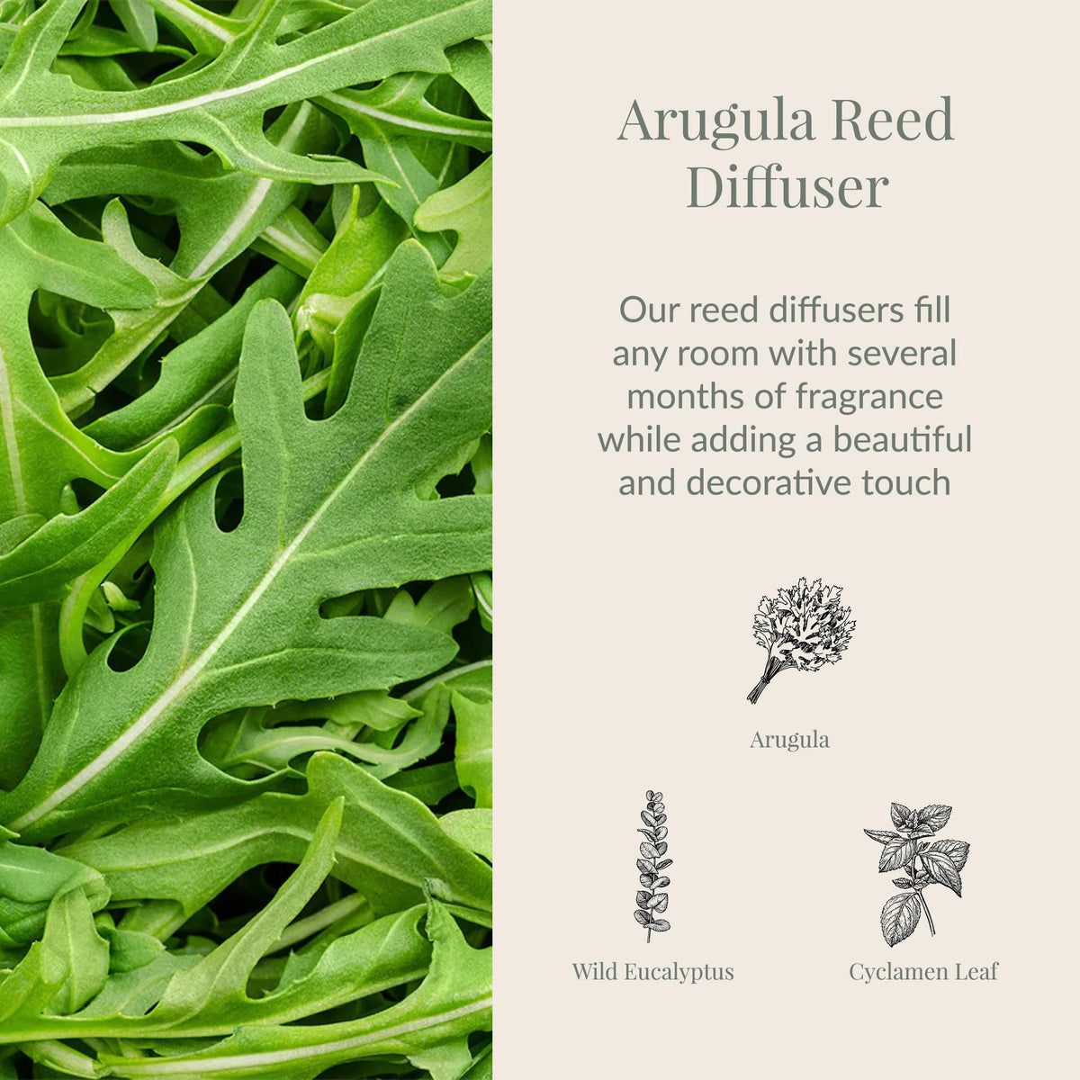 Archipelago Botanicals Lavande Reed Diffuser, Home Fragrance Reed Diffuser, Includes Fragrance Oil, Decorative Wooden Cap & 10 Diffuser Reeds, Perfect for Home, Office or Gift, 7.85 fl oz