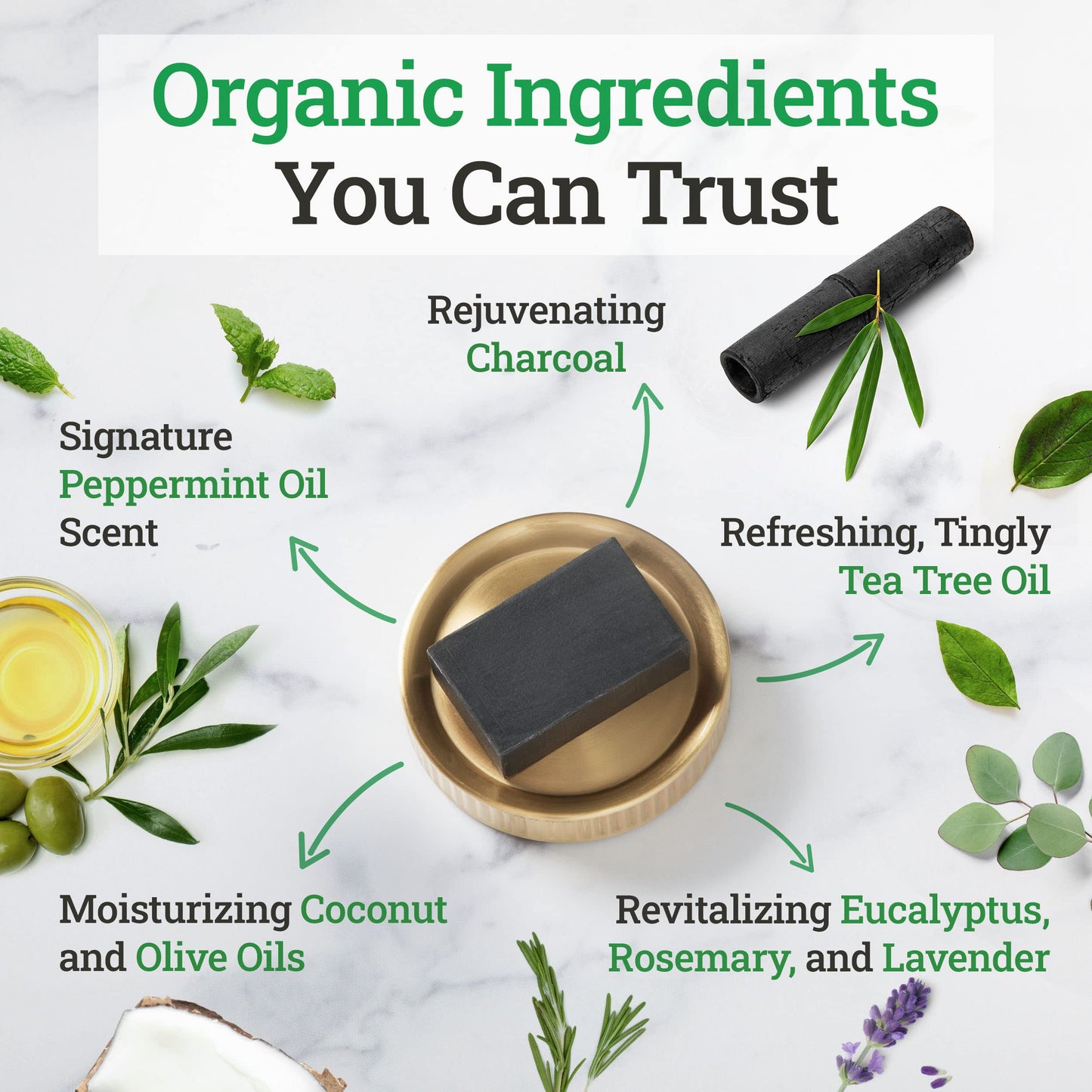 Truremedy Naturals Natural Activated Charcoal Soap Bar (2-Pack) - Hand, Foot & Body Soap - Tea Tree, Peppermint & Charcoal Soap - Vegan, Cruelty Free - Made In USA - 8 Oz