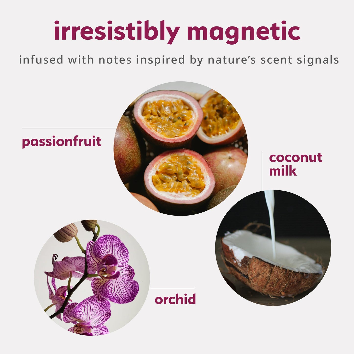 plusOne Pheromone Inspired Perfume Oil – Tropical Fruity Floral – Rollerball with Passionfruit, Orchid & Coconut Milk – 0.34 fl oz