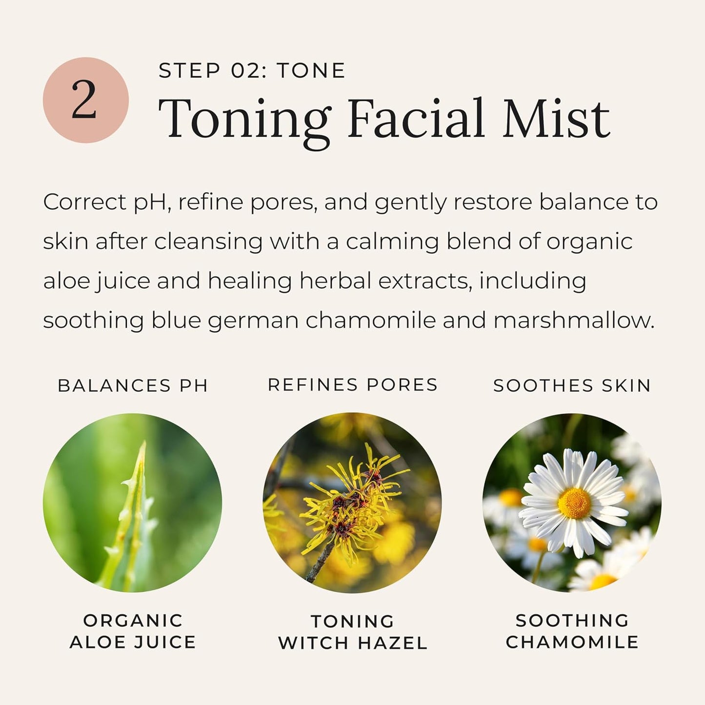 Activated Charcoal Bundle - Moisturizer, Soap, Antioxidant Serum & Facial Mist Toner for Glowing Skin