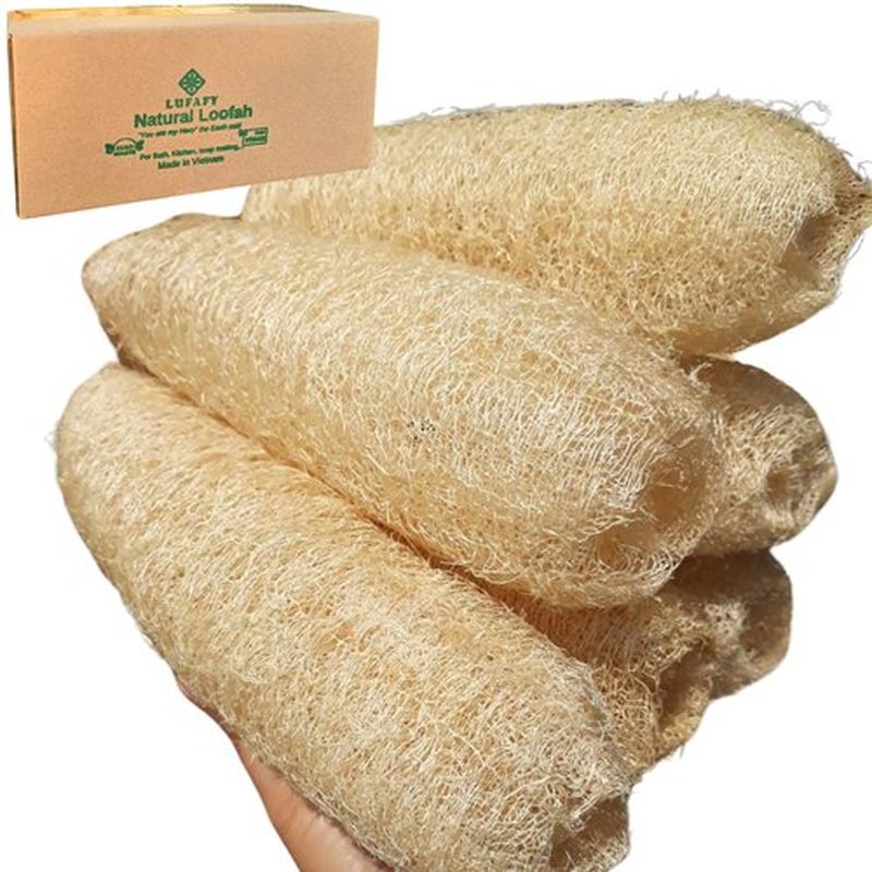5 Pcs (10 – 12 Inches) Shower Loofah Exfoliating Body Scrubber | Natural Loofah Sponge | Bath for Loofah for Men and Women | Pack of 5