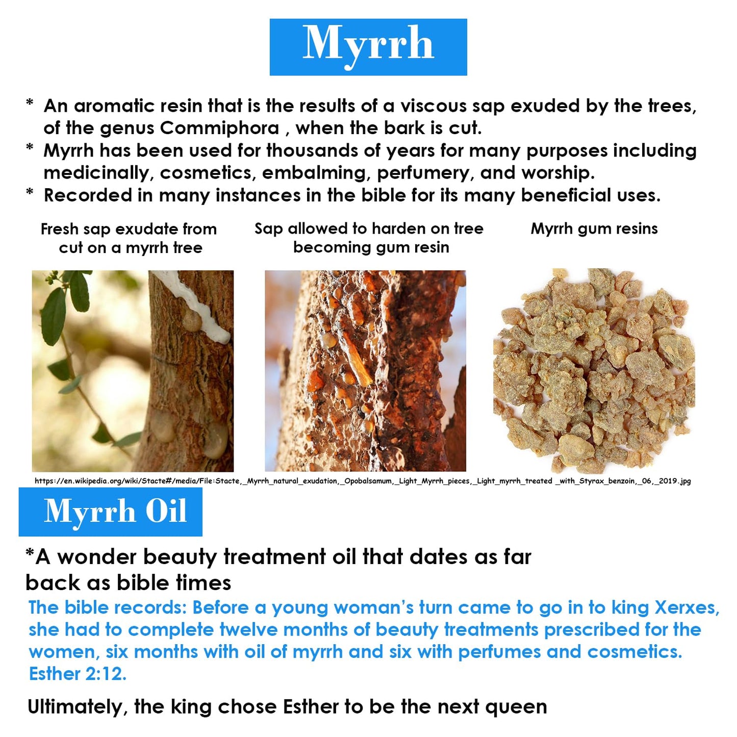 BIBLE N Beautyoils Queen Esther Myrrh Beauty Face Oil, Myrrh-Infused Skincare Essential Oils, Rosehip, Argan, Seabuckthorn, Pomegranate Seed Face Oil for Radiant Skin, 1.0 Fl Oz (Natural Nutty)