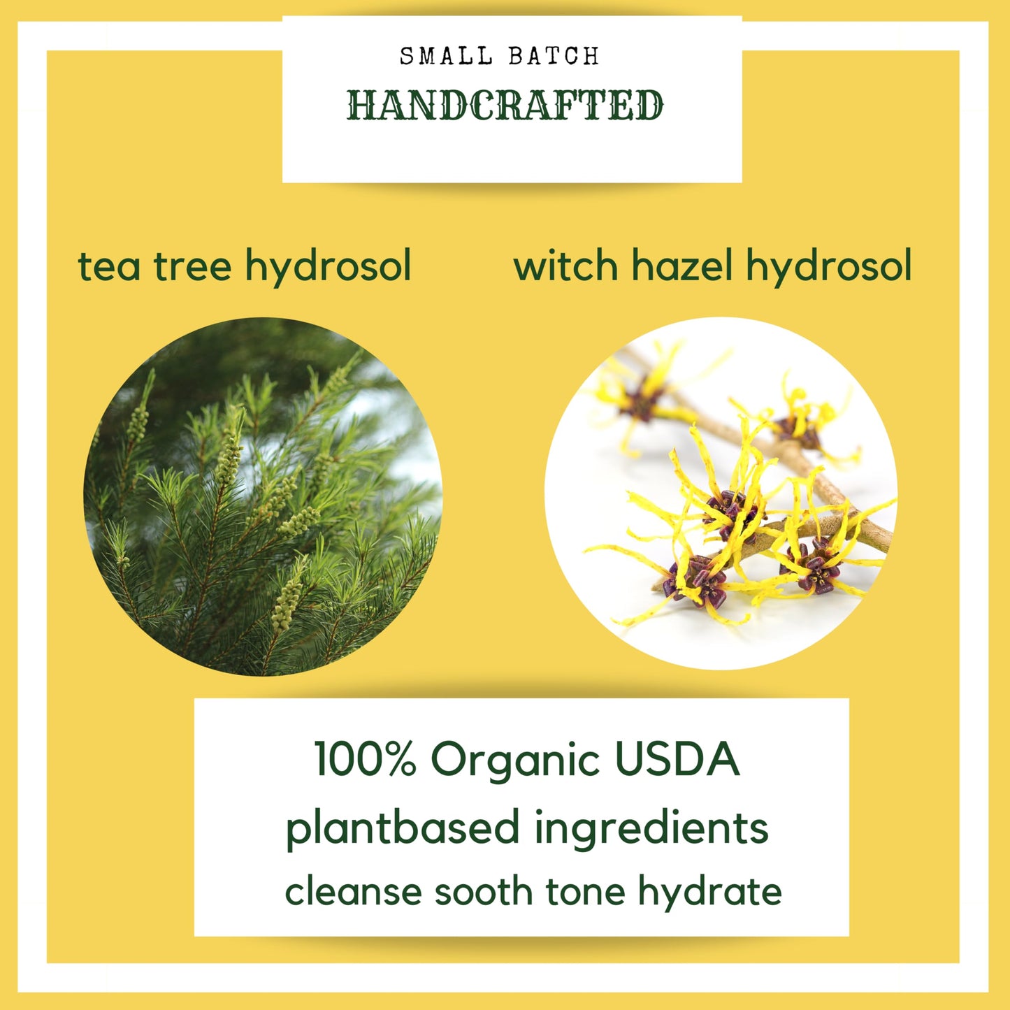 Tea Tree Witch Hazel FACE Toner - Organic Hydrosol, Astringent Facial Spray - Reduce Blemish, Prevent Acnes, Restore pH, Tone. All Skin Type.USA Small Business-Hello Cider