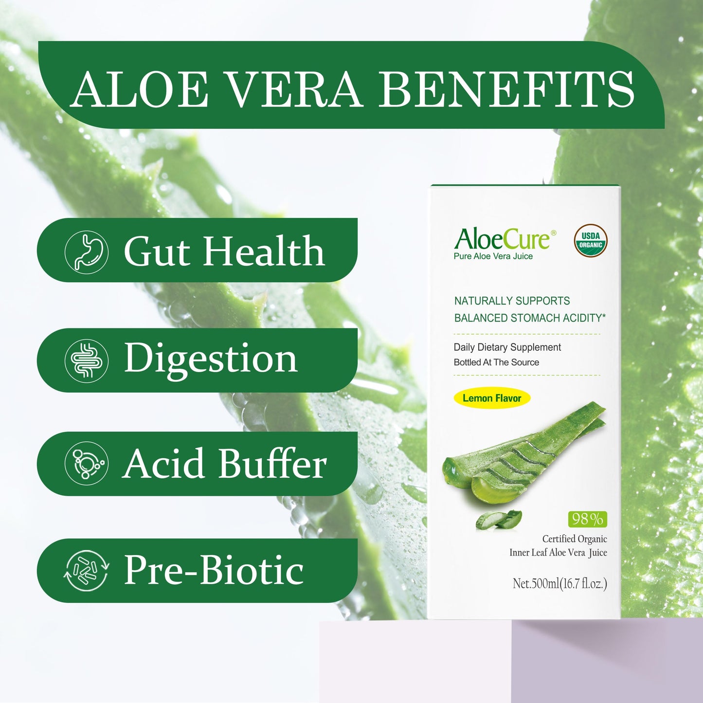 AloeCure USDA Organic Aloe Vera Juice Lemon Flavor - Made Within 12 Hours of Harvest - Natural Digestive Supplement for Balanced Stomach Acidity - Support Digestive and Immune Health - 1 Btl x 16.7oz