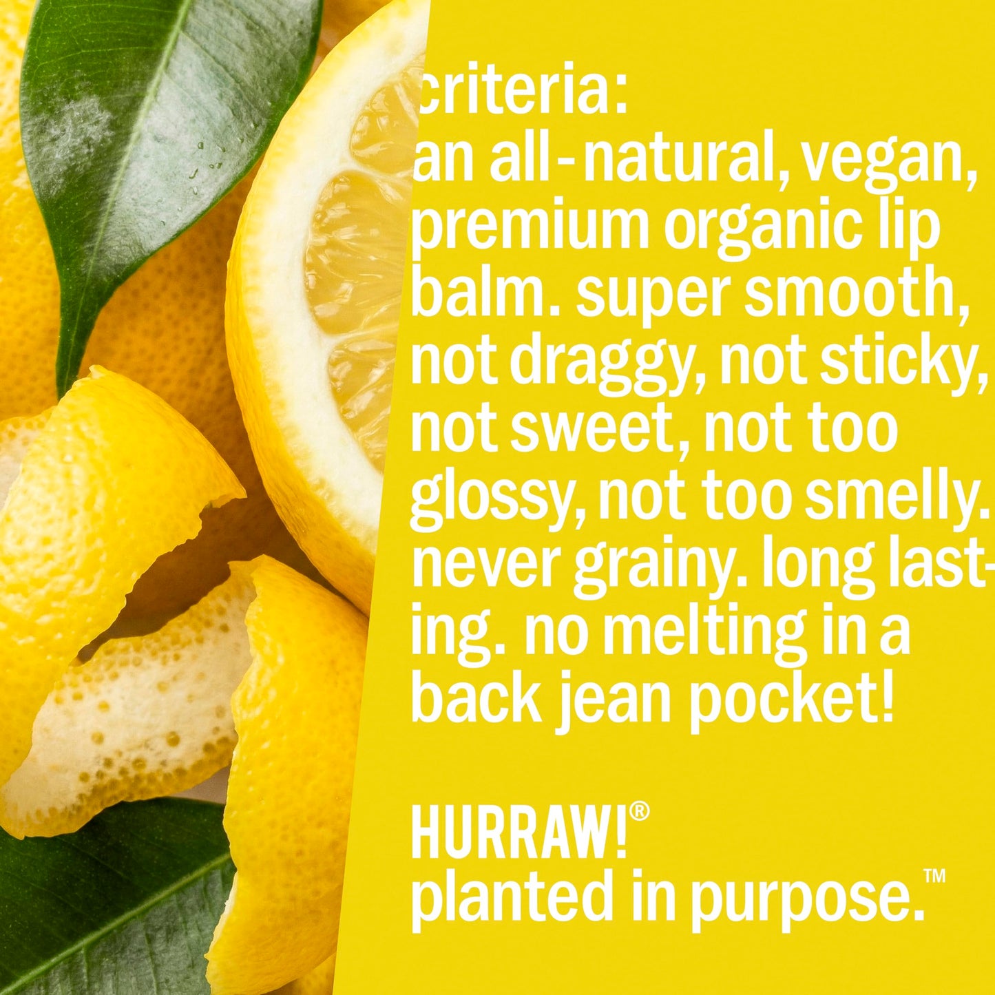 Hurraw! Lemon Lip Balm, 3 Pack: Organic, Certified Vegan, Cruelty and Gluten Free. Non-GMO, 100% Natural Ingredients. Bee, Shea, Soy and Palm Free. Made in USA
